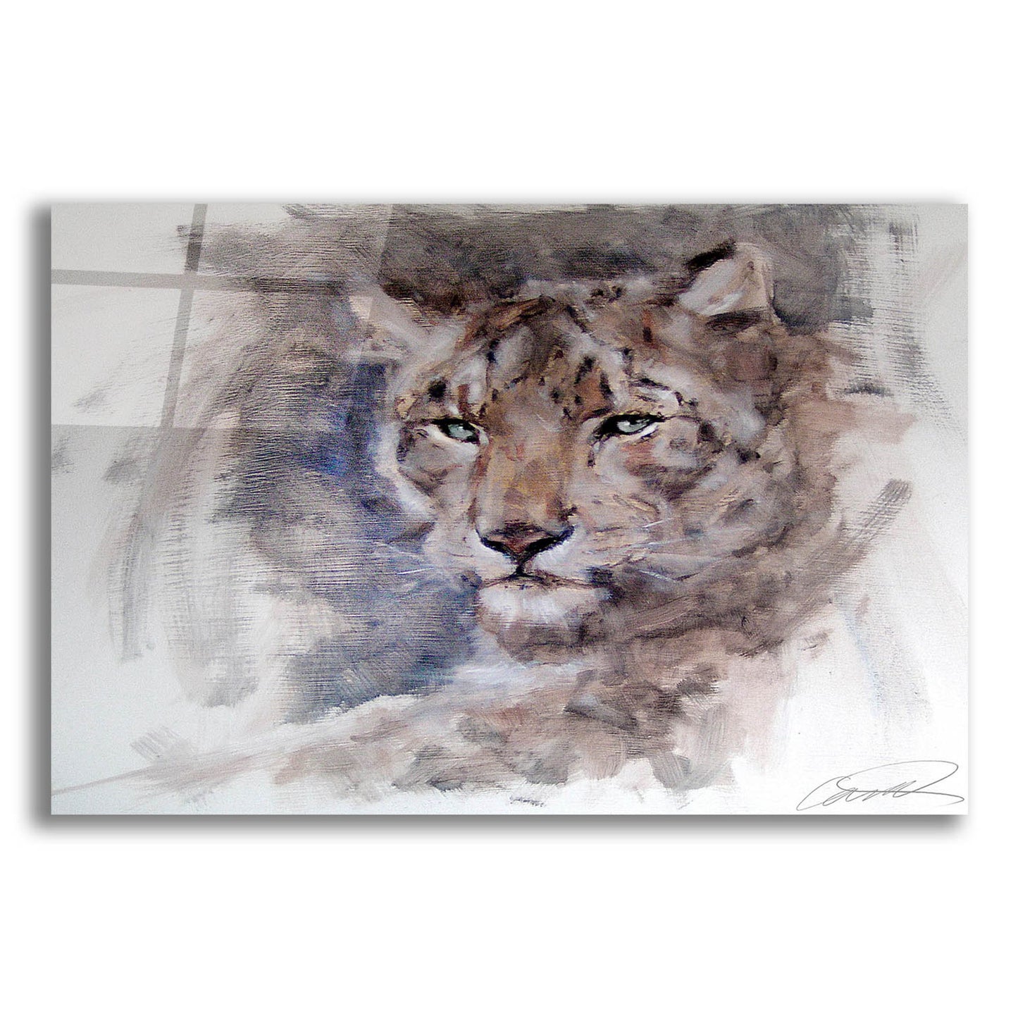 Epic Art 'Snow Leopard Stare' by Robert Campbell, Acrylic Glass Wall Art