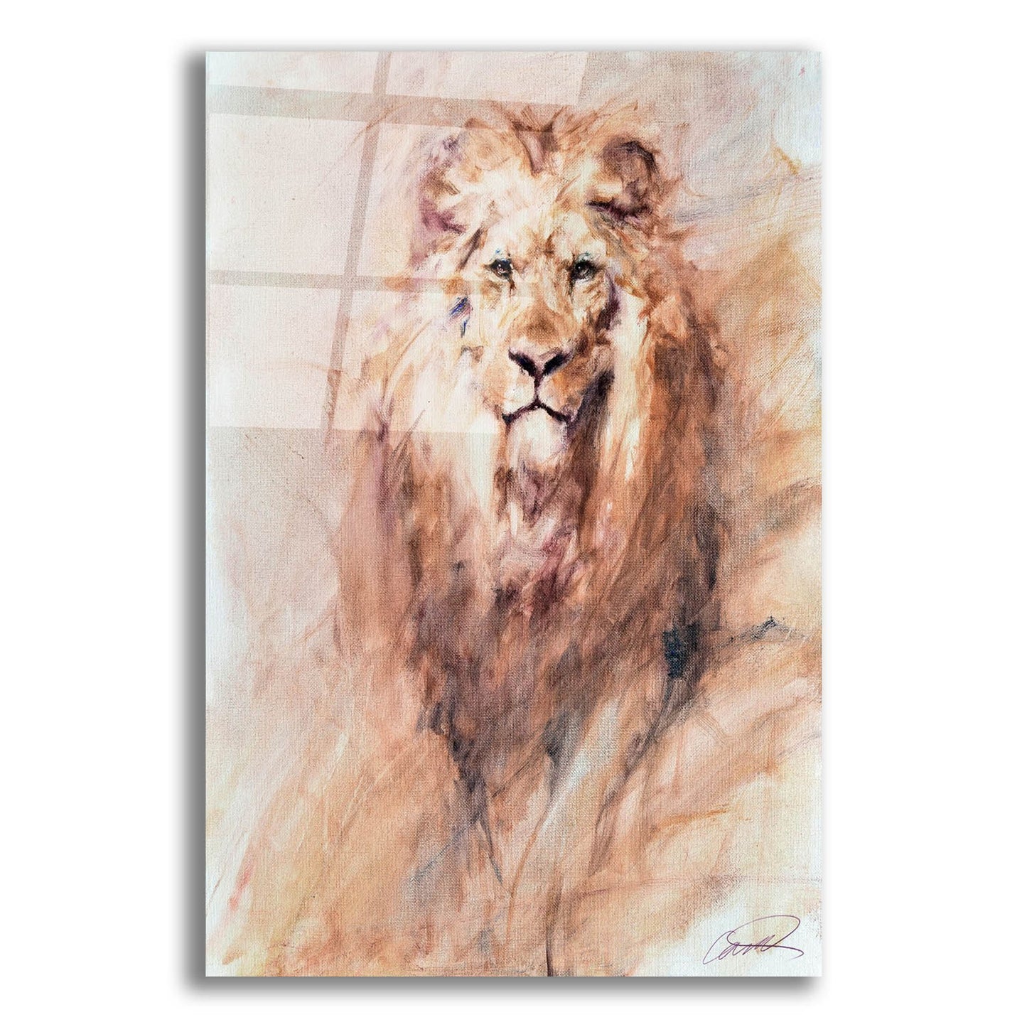 Epic Art 'Look of a Lion' by Robert Campbell, Acrylic Glass Wall Art