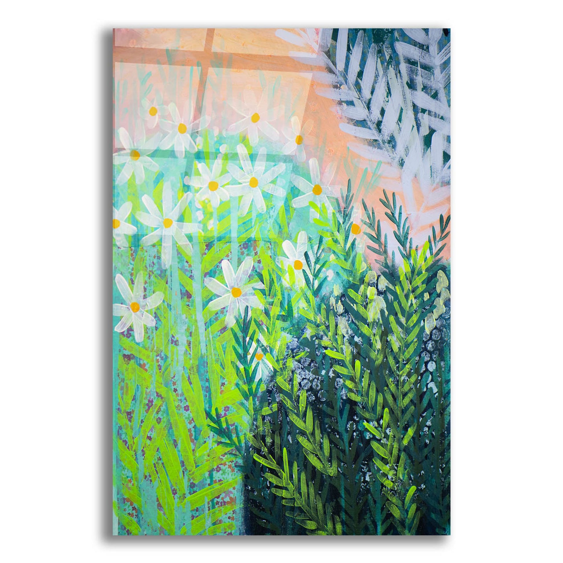 Epic Art 'Desert Garden' by Shelley Hampe, Acrylic Glass Wall Art,12x16