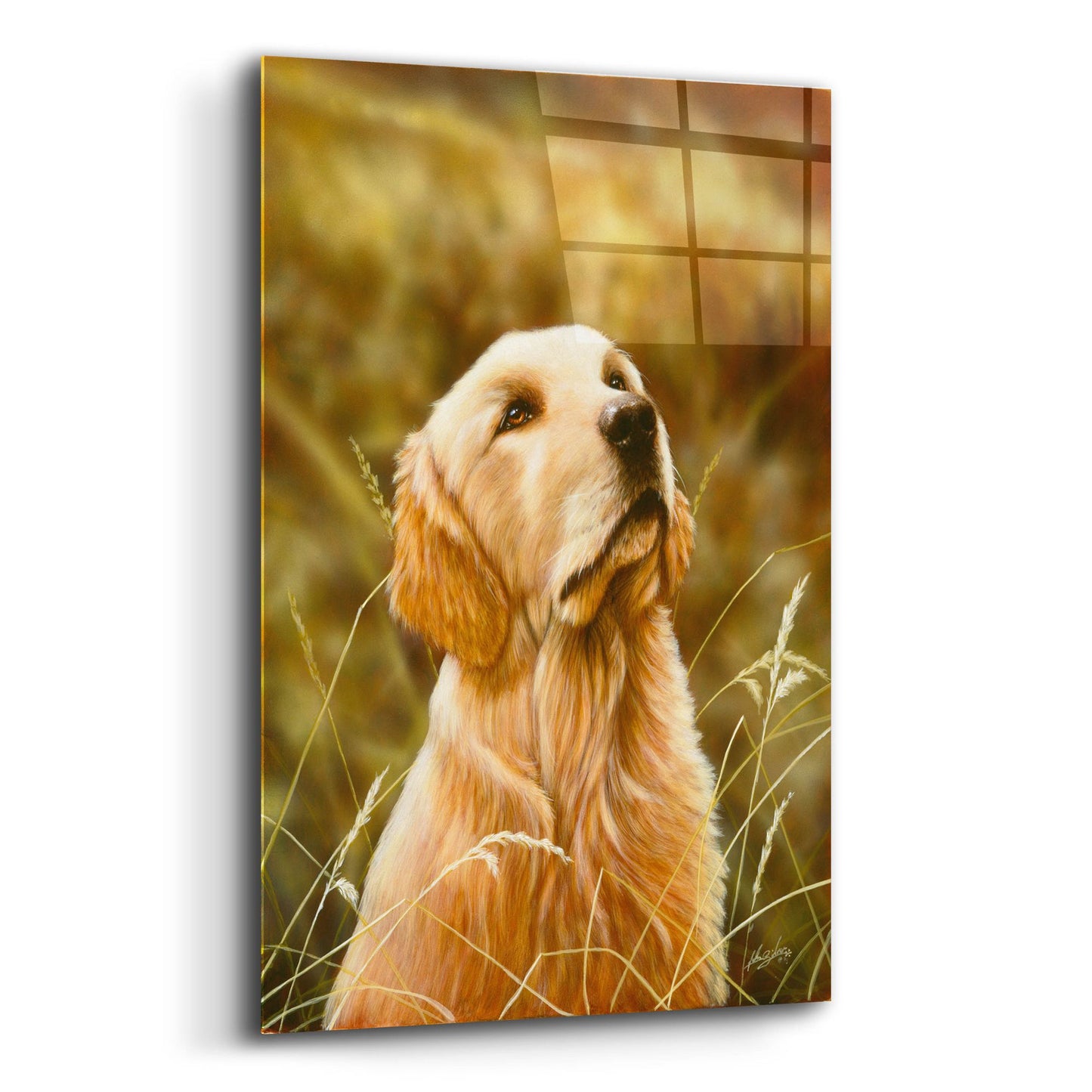 Epic Art 'Golden Dog' by John Silver, Acrylic Glass Wall Art,12x16