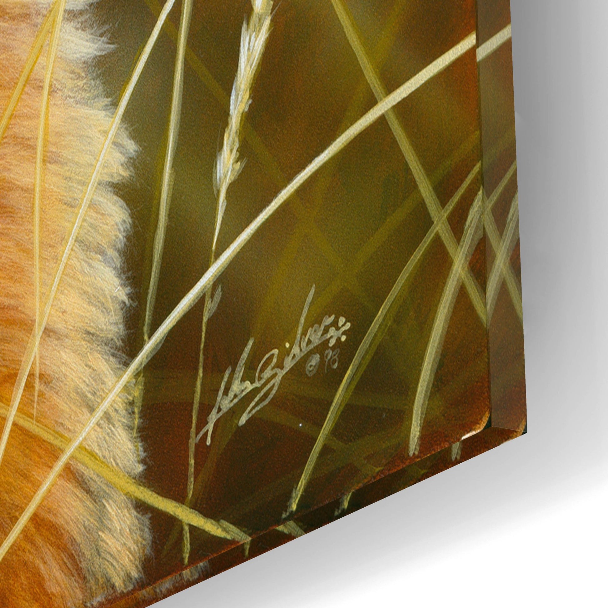 Epic Art 'Golden Dog' by John Silver, Acrylic Glass Wall Art,12x16