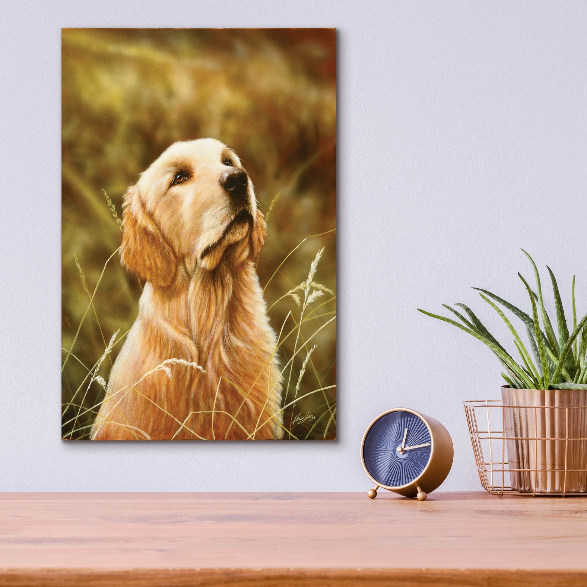 Epic Art 'Golden Dog' by John Silver, Acrylic Glass Wall Art,12x16