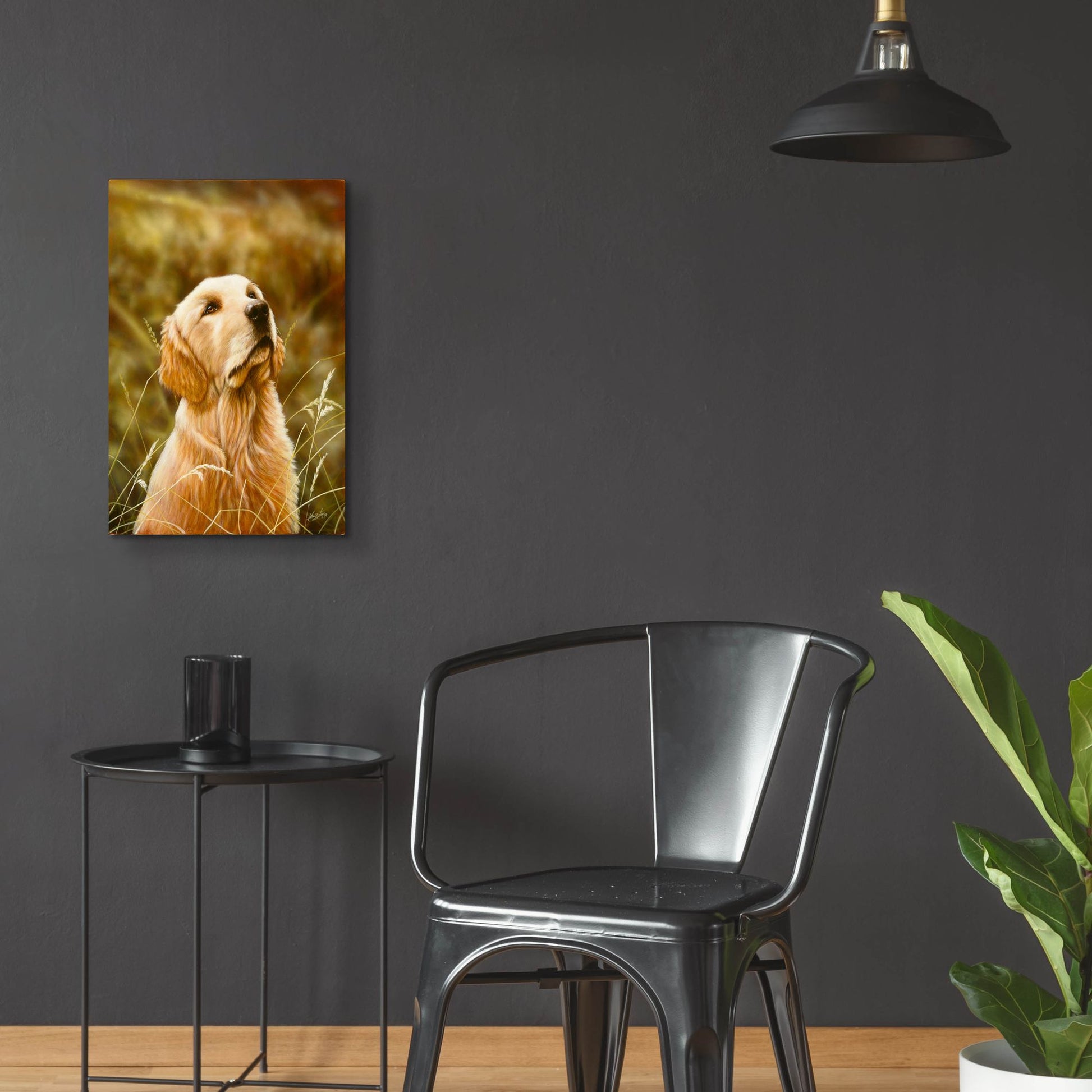 Epic Art 'Golden Dog' by John Silver, Acrylic Glass Wall Art,16x24