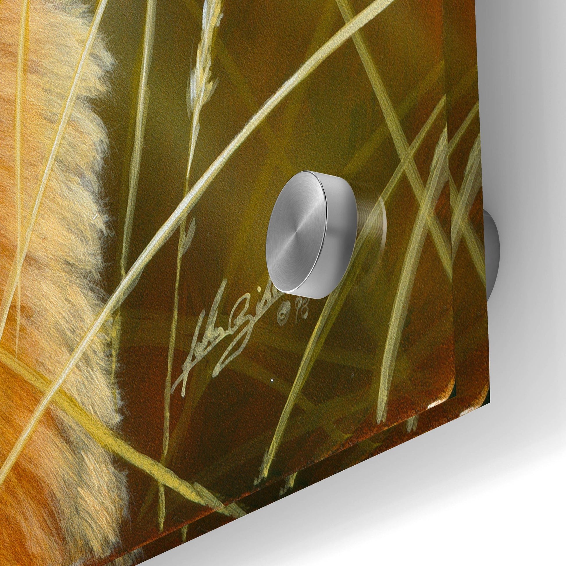 Epic Art 'Golden Dog' by John Silver, Acrylic Glass Wall Art,24x36