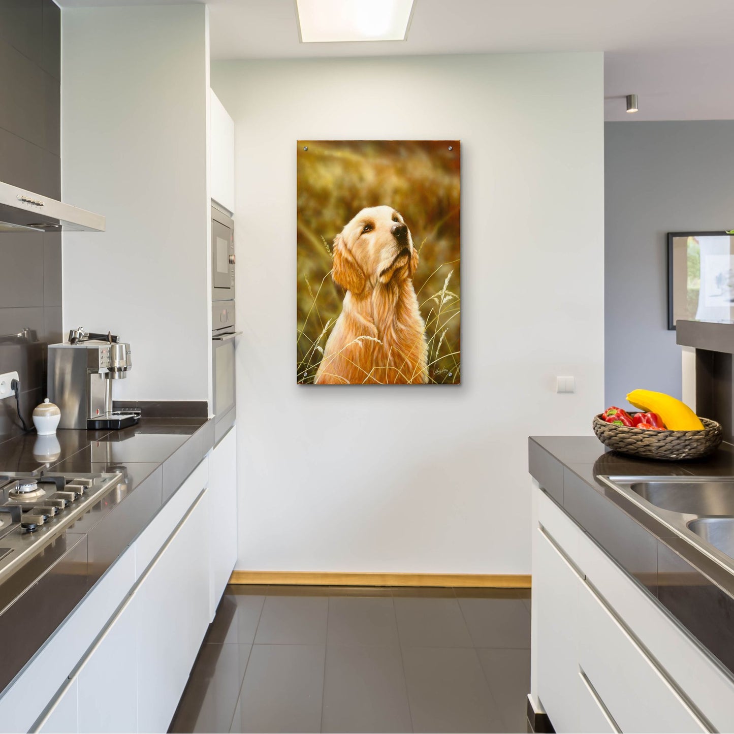 Epic Art 'Golden Dog' by John Silver, Acrylic Glass Wall Art,24x36