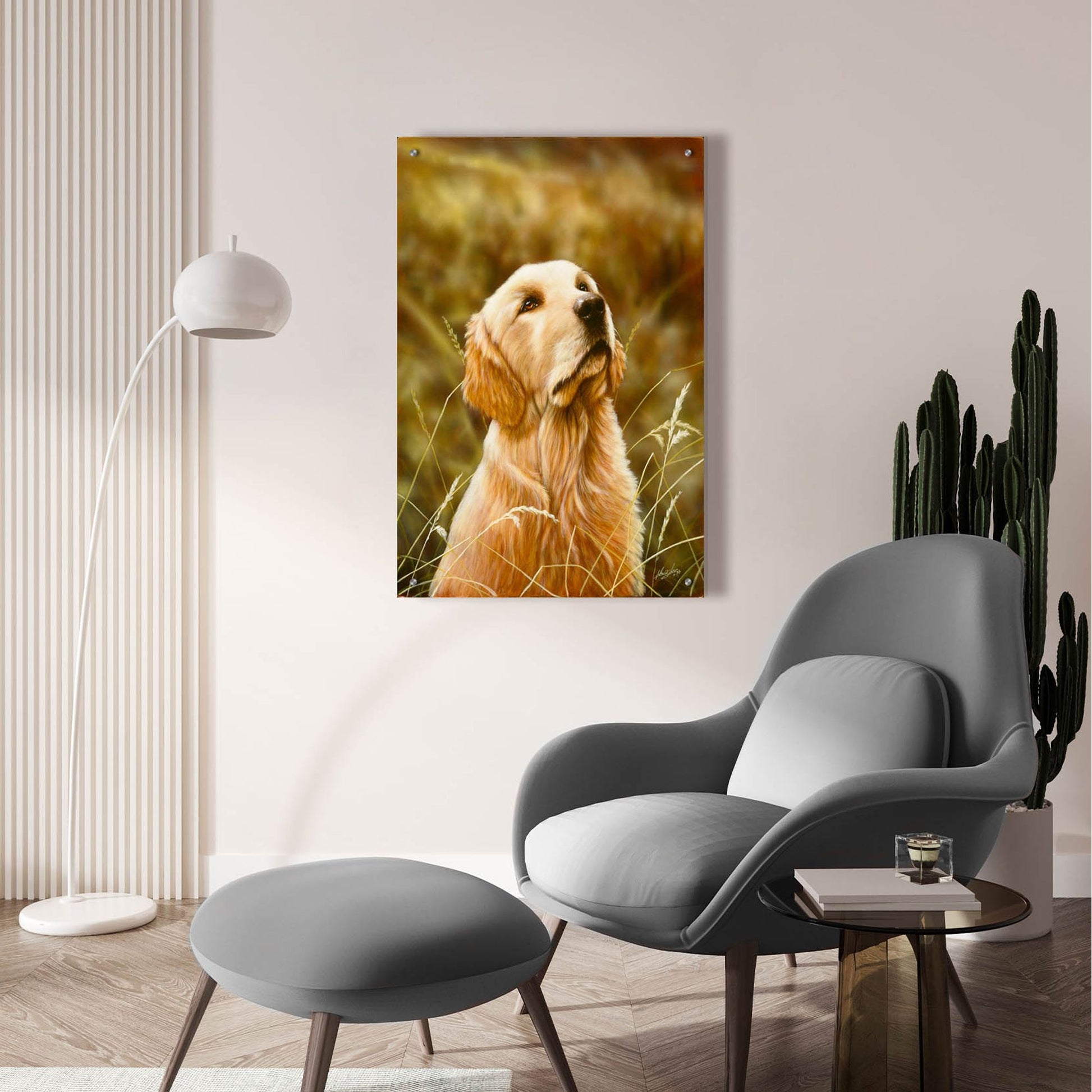 Epic Art 'Golden Dog' by John Silver, Acrylic Glass Wall Art,24x36