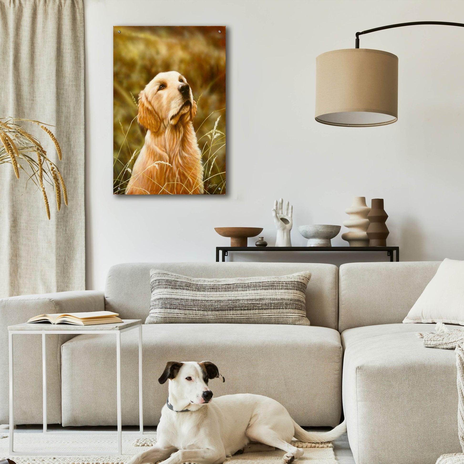 Epic Art 'Golden Dog' by John Silver, Acrylic Glass Wall Art,24x36