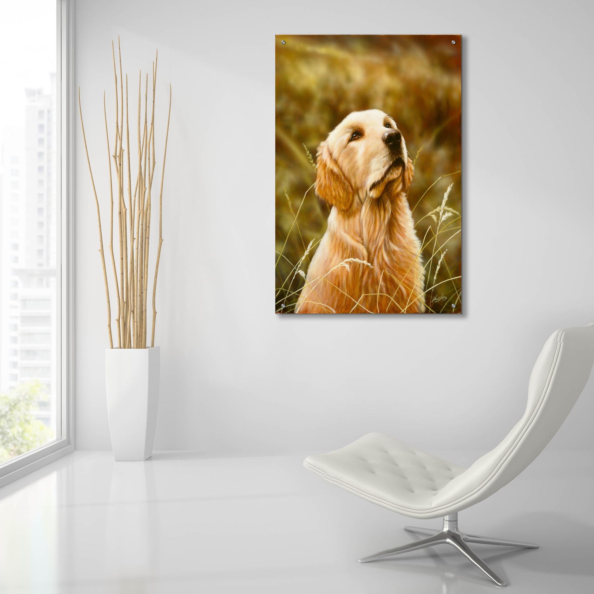 Epic Art 'Golden Dog' by John Silver, Acrylic Glass Wall Art,24x36