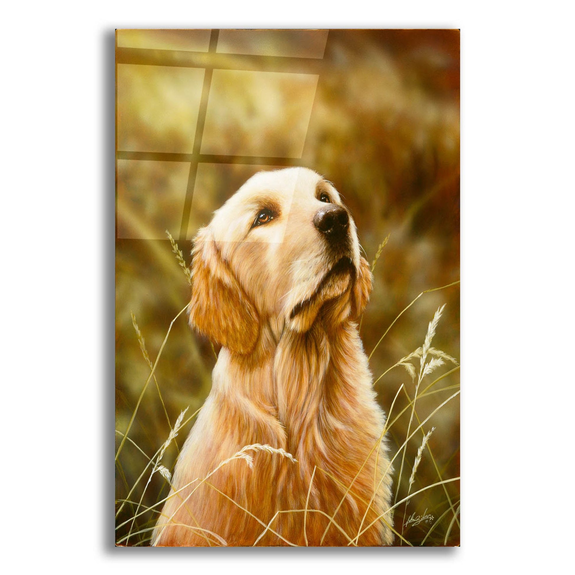 Epic Art 'Golden Dog' by John Silver, Acrylic Glass Wall Art