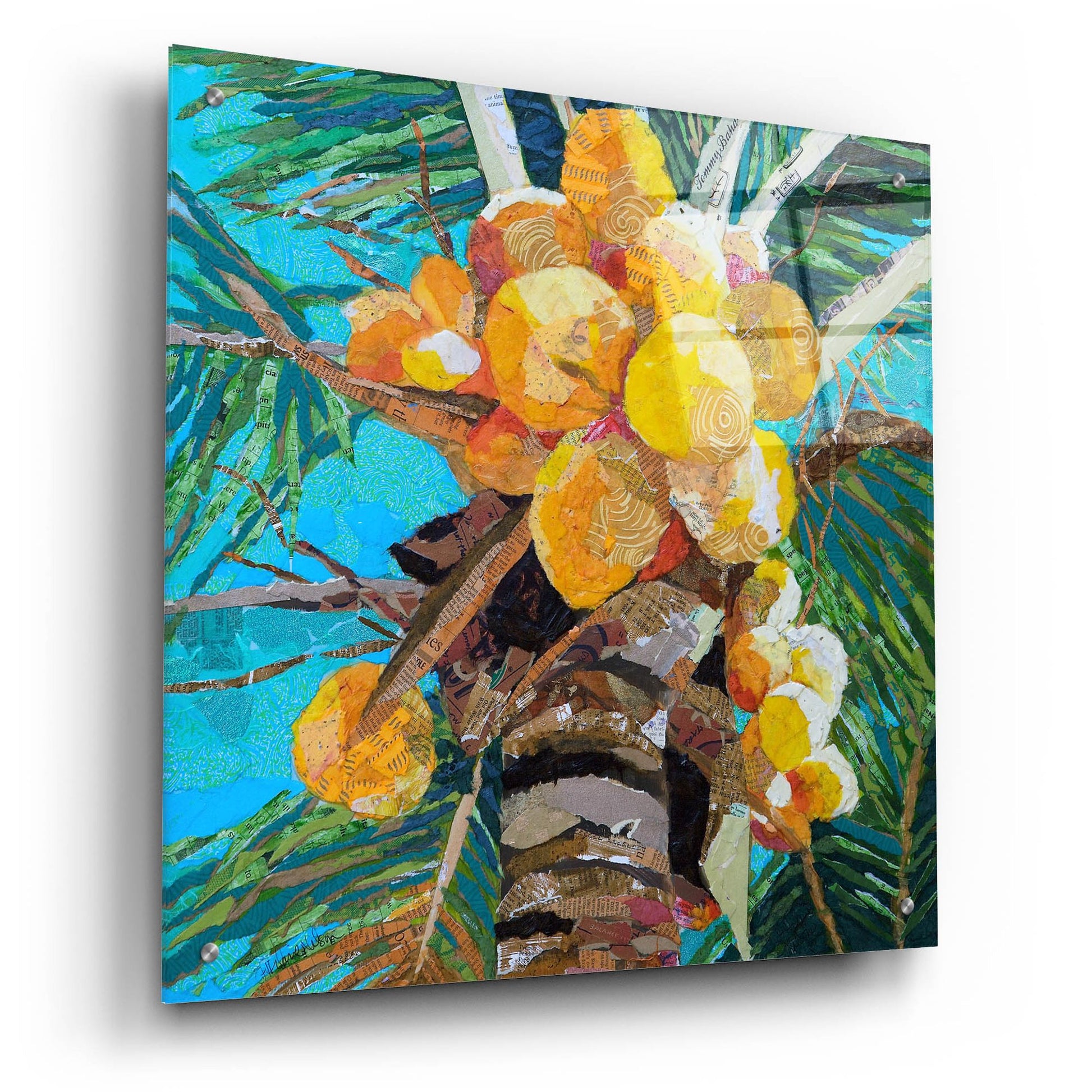 Epic Art 'Florida Sunshine' by St. Hilaire Elizabeth, Acrylic Glass Wall Art,24x24