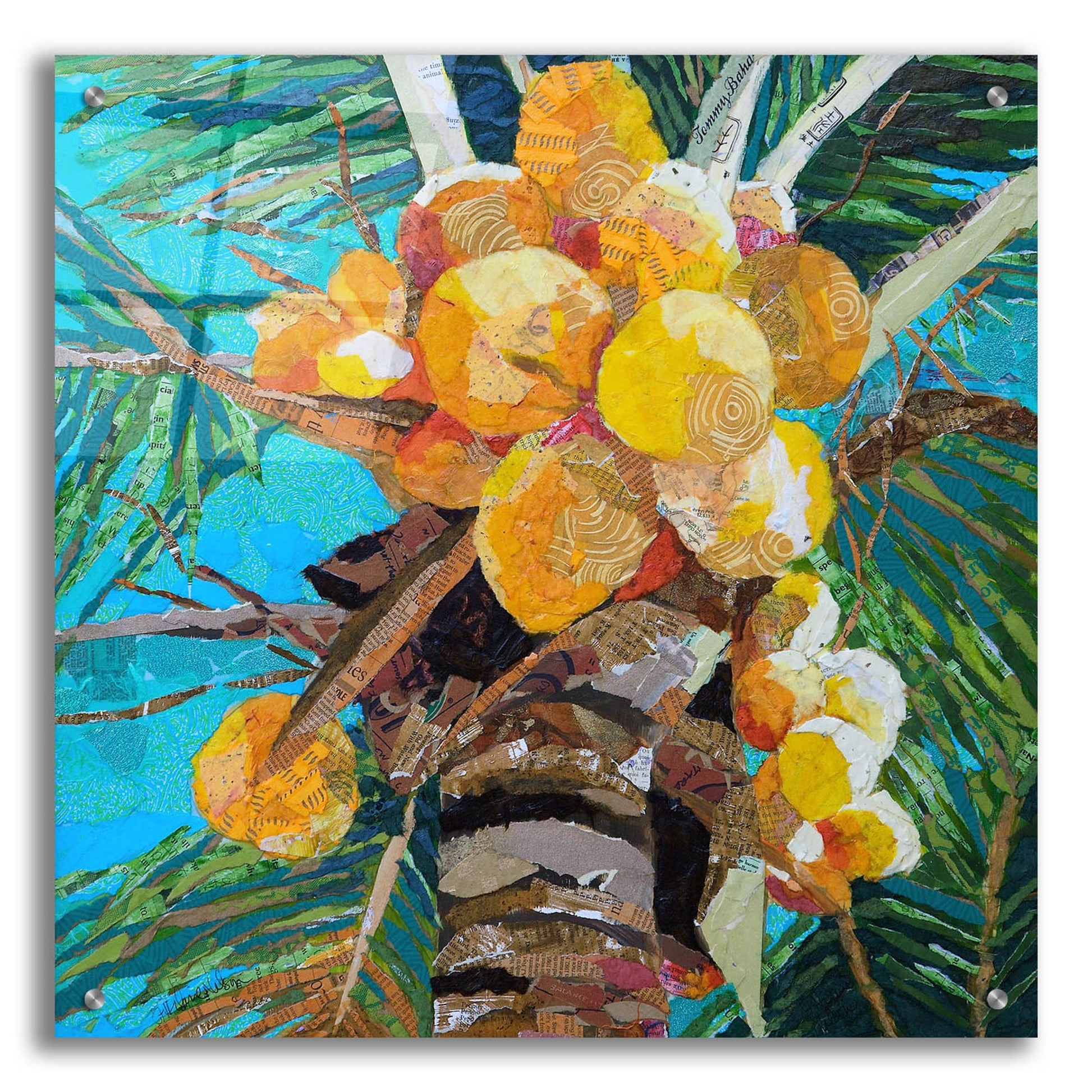 Epic Art 'Florida Sunshine' by St. Hilaire Elizabeth, Acrylic Glass Wall Art,24x24