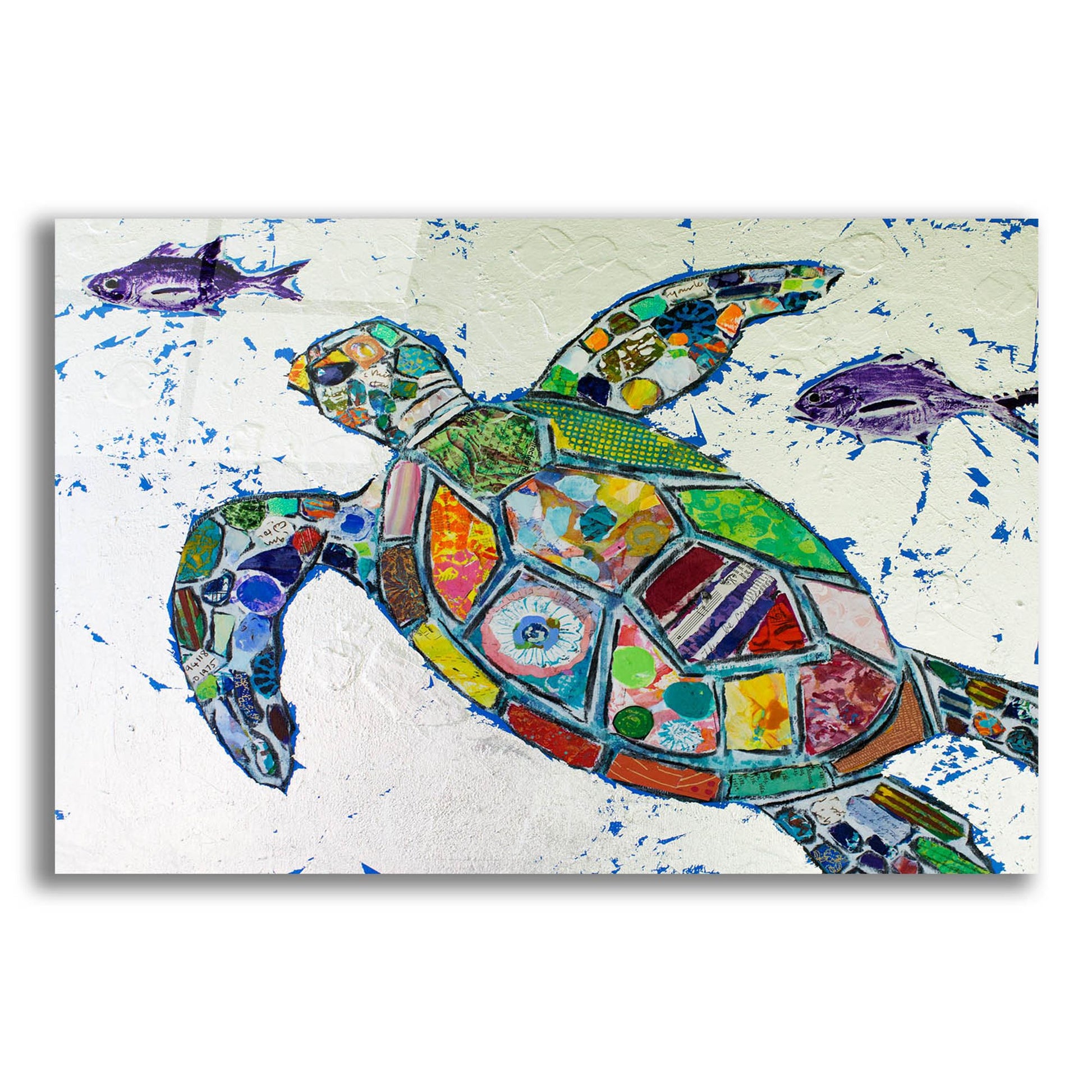 Epic Art 'Silver Sea Turtle' by St. Hilaire Elizabeth, Acrylic Glass Wall Art,16x12