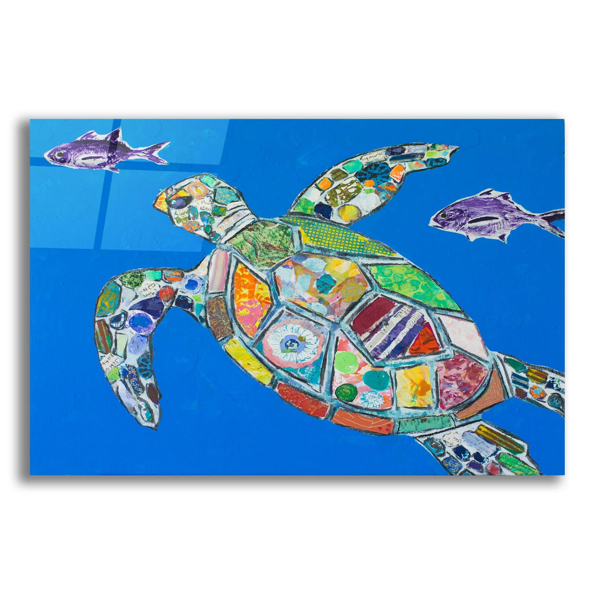 Epic Art 'Blue Sea Turtle' by St. Hilaire Elizabeth, Acrylic Glass Wall Art,16x12