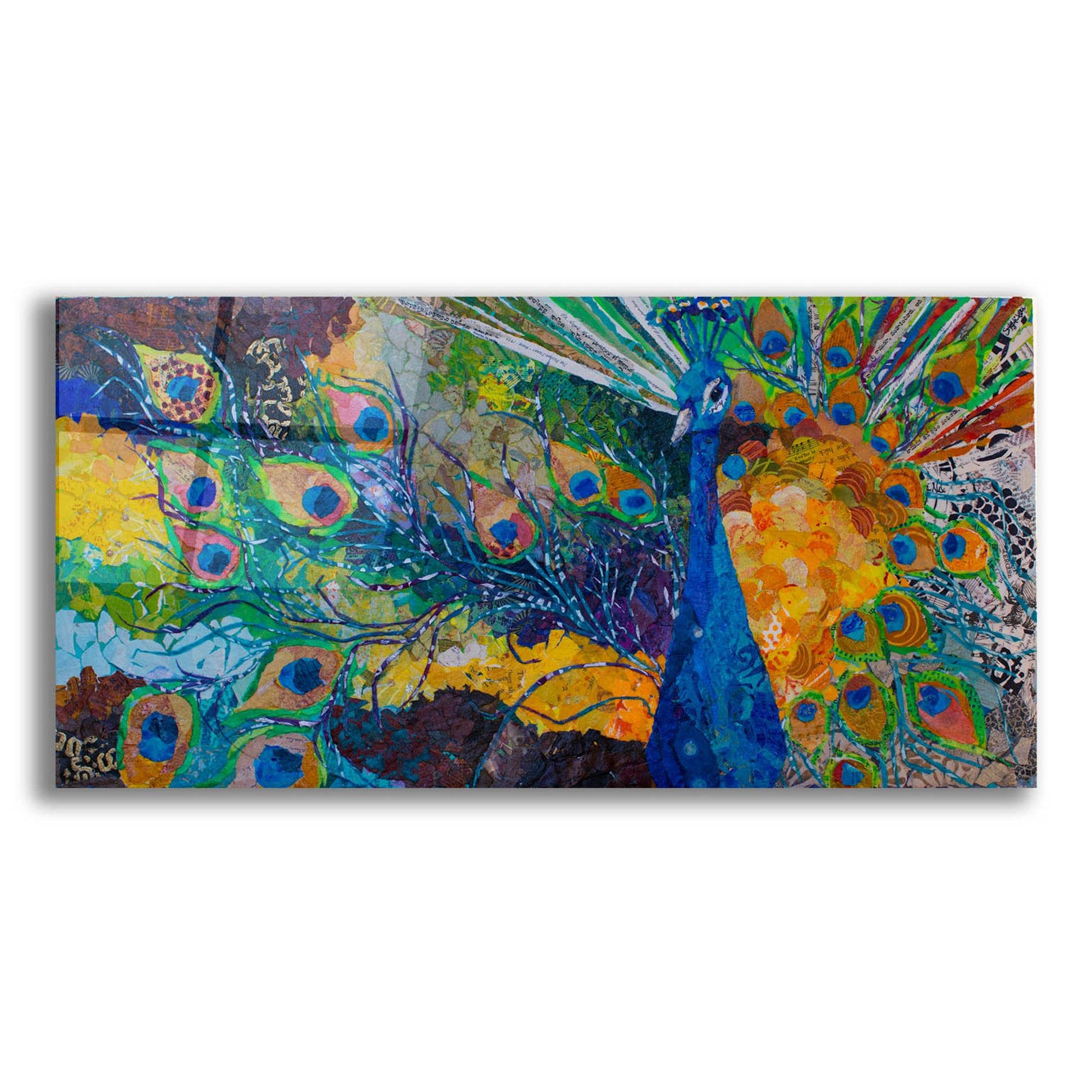 Epic Art 'Percy Peacock 2' by St. Hilaire Elizabeth, Acrylic Glass Wall Art