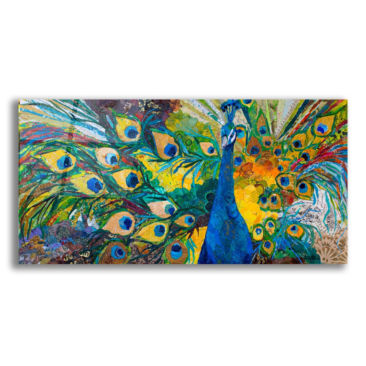 Epic Art 'Percy Peacock' by St. Hilaire Elizabeth, Acrylic Glass Wall Art