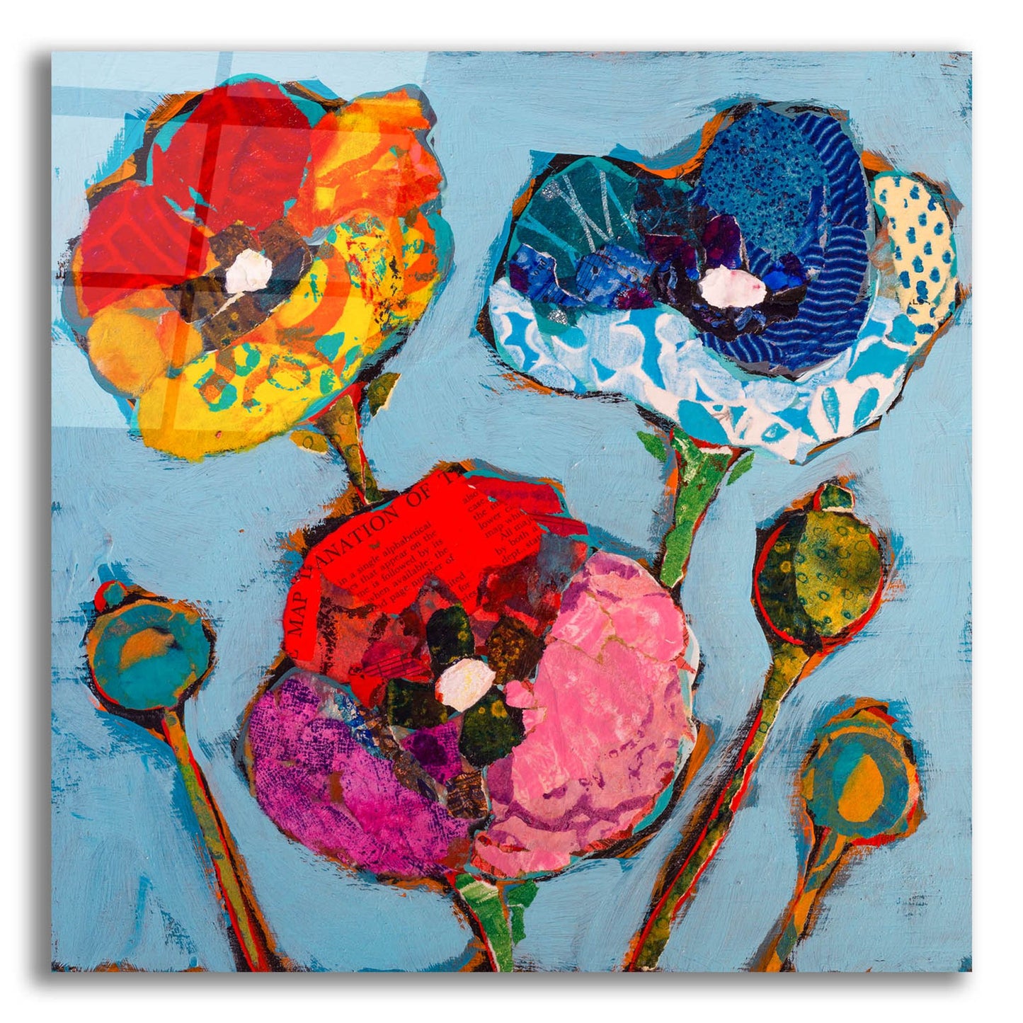 Epic Art 'Poppy 6' by St. Hilaire Elizabeth, Acrylic Glass Wall Art