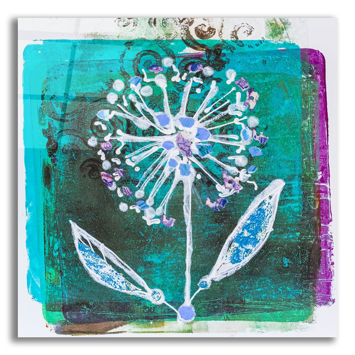 Epic Art 'Dandilion Blooms' by St. Hilaire Elizabeth, Acrylic Glass Wall Art,12x12