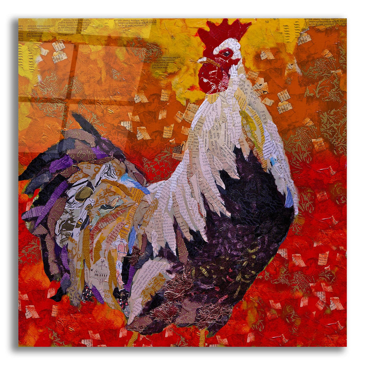 Epic Art 'Cock-A-Doodle D' by St. Hilaire Elizabeth, Acrylic Glass Wall Art,36x36