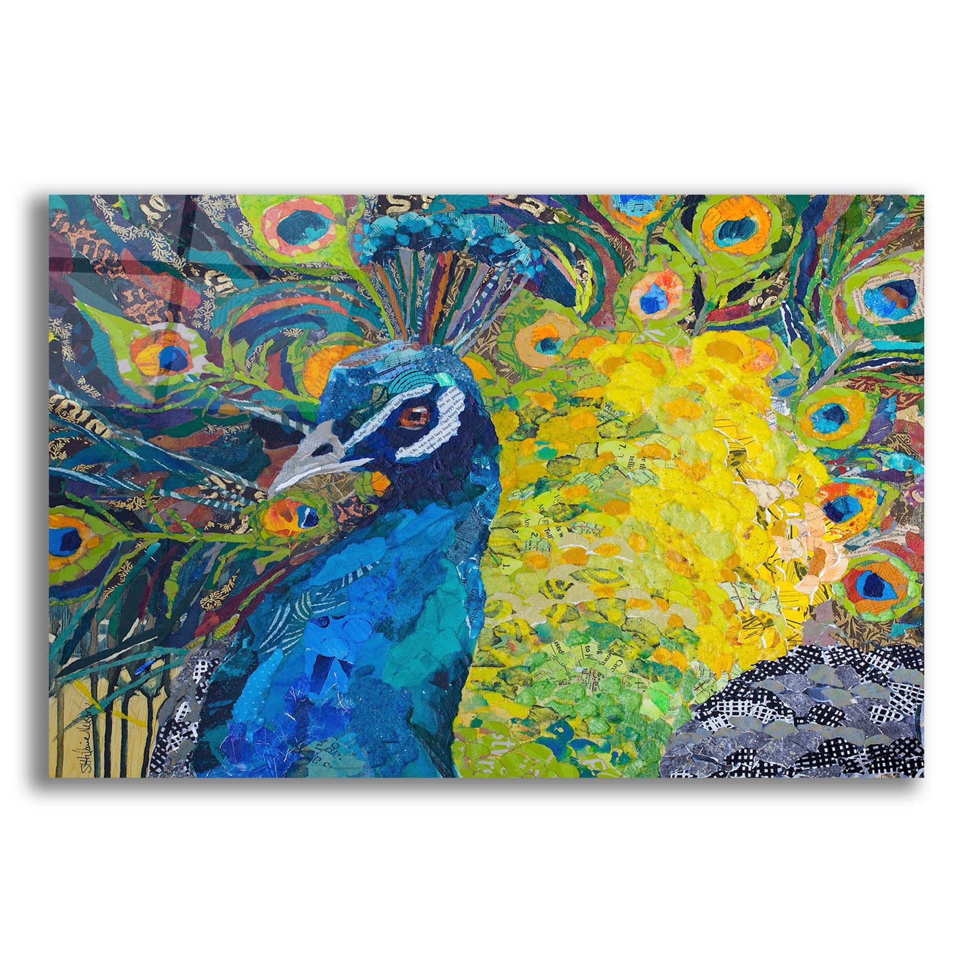 Epic Art 'Poised Peacock 2' by St. Hilaire Elizabeth, Acrylic Glass Wall Art