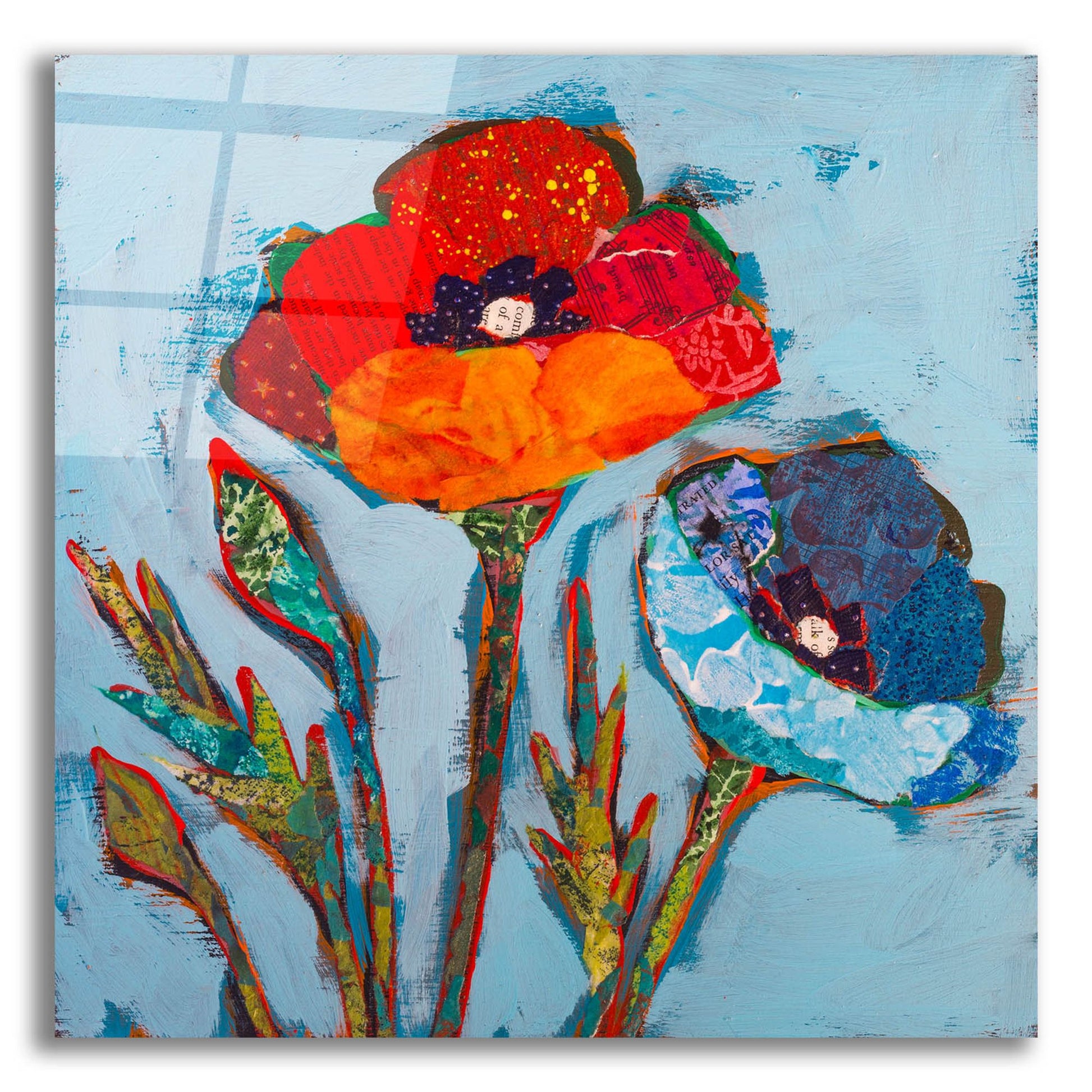 Epic Art 'Poppy 4' by St. Hilaire Elizabeth, Acrylic Glass Wall Art