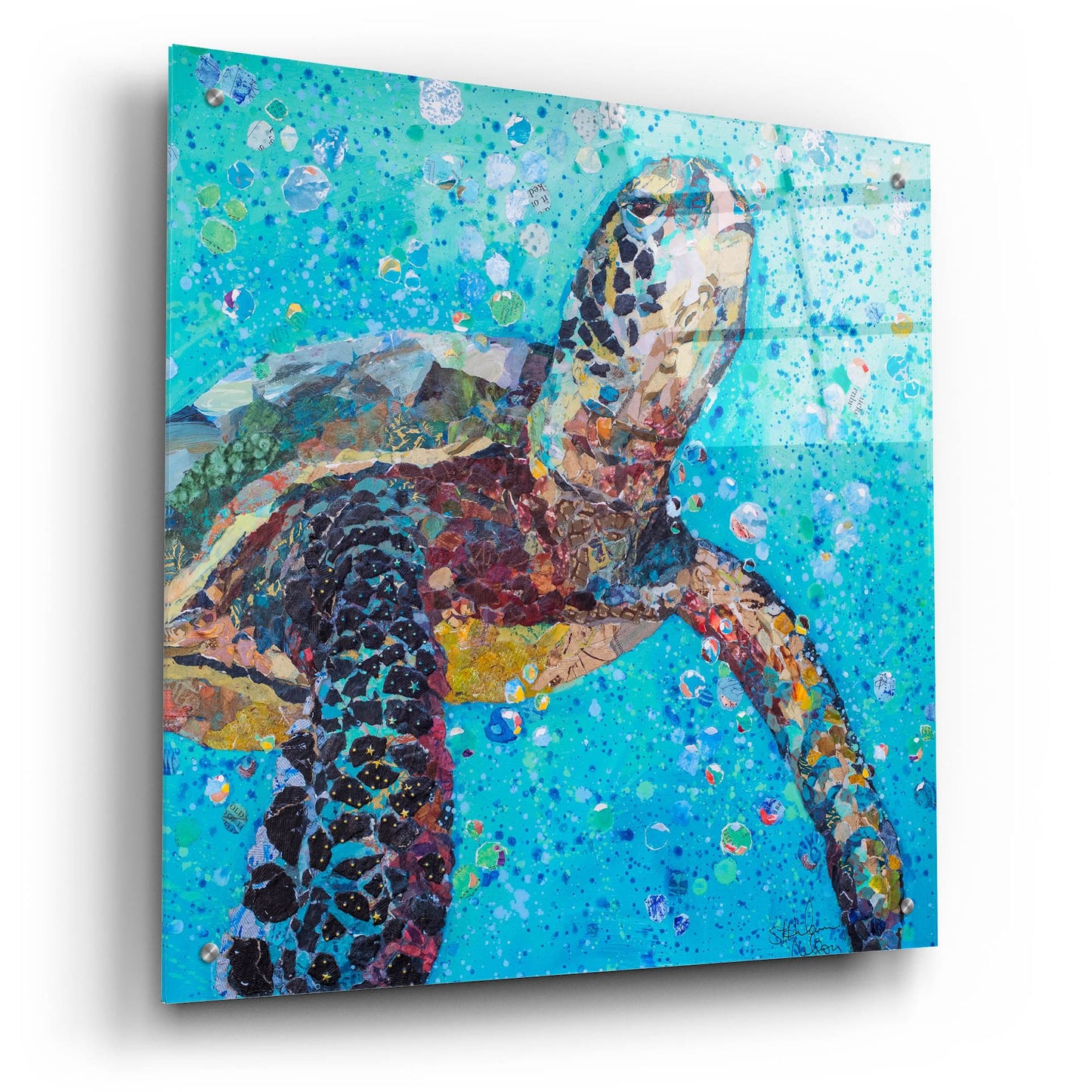 Epic Art 'Water Baby' by St. Hilaire Elizabeth, Acrylic Glass Wall Art,24x24