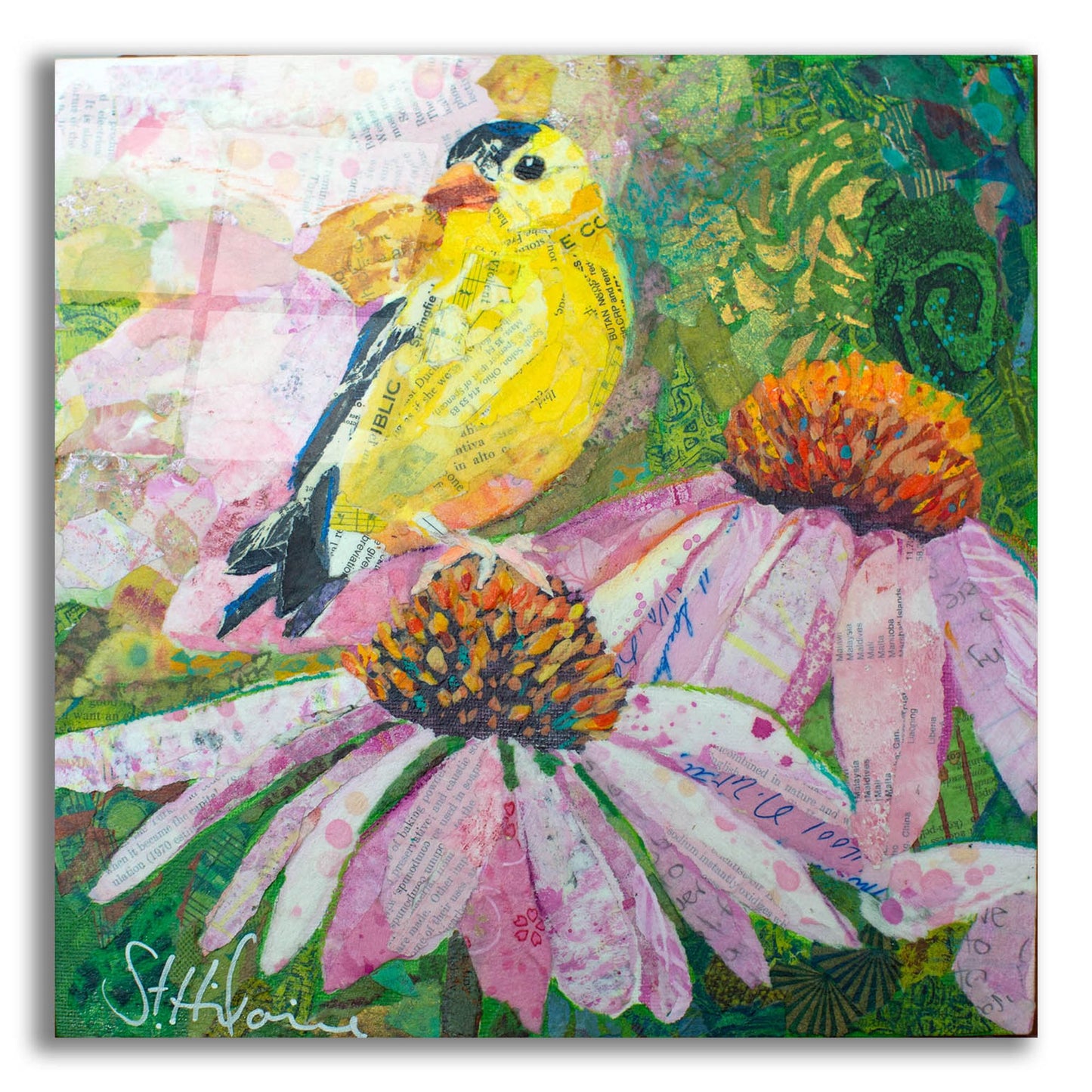 Epic Art 'Finch on Coneflowers' by St. Hilaire Elizabeth, Acrylic Glass Wall Art