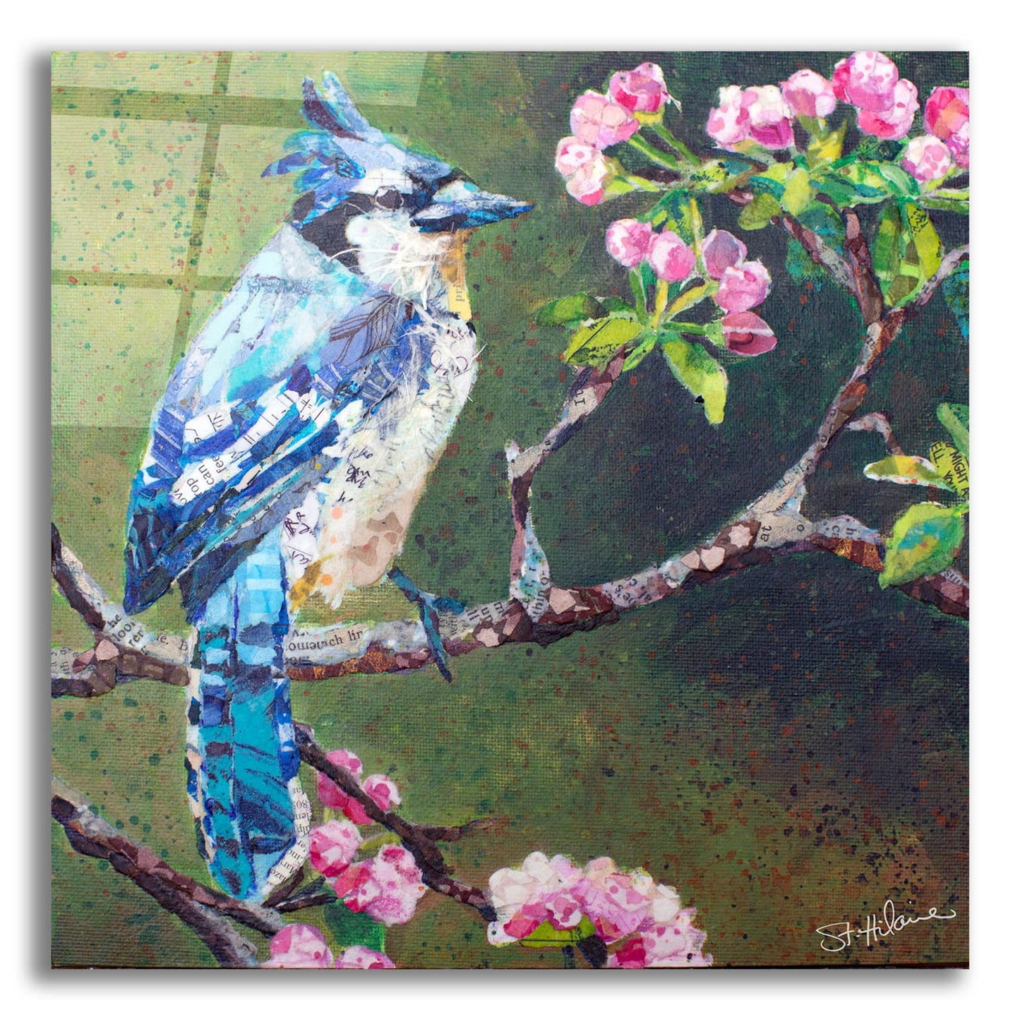 Epic Art 'Blue Jay on Apple Blossoms' by St. Hilaire Elizabeth, Acrylic Glass Wall Art