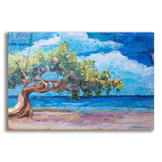 Epic Art 'Divi Divi Tree' by St. Hilaire Elizabeth, Acrylic Glass Wall Art