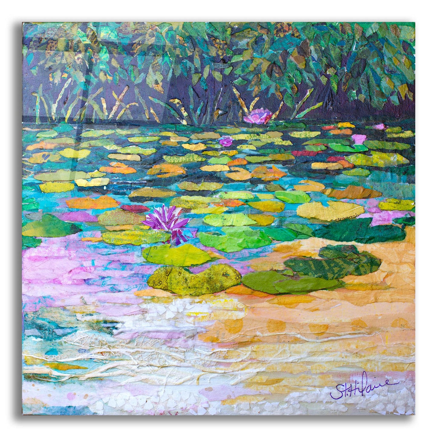 Epic Art 'Lily Pad Pond' by St. Hilaire Elizabeth, Acrylic Glass Wall Art