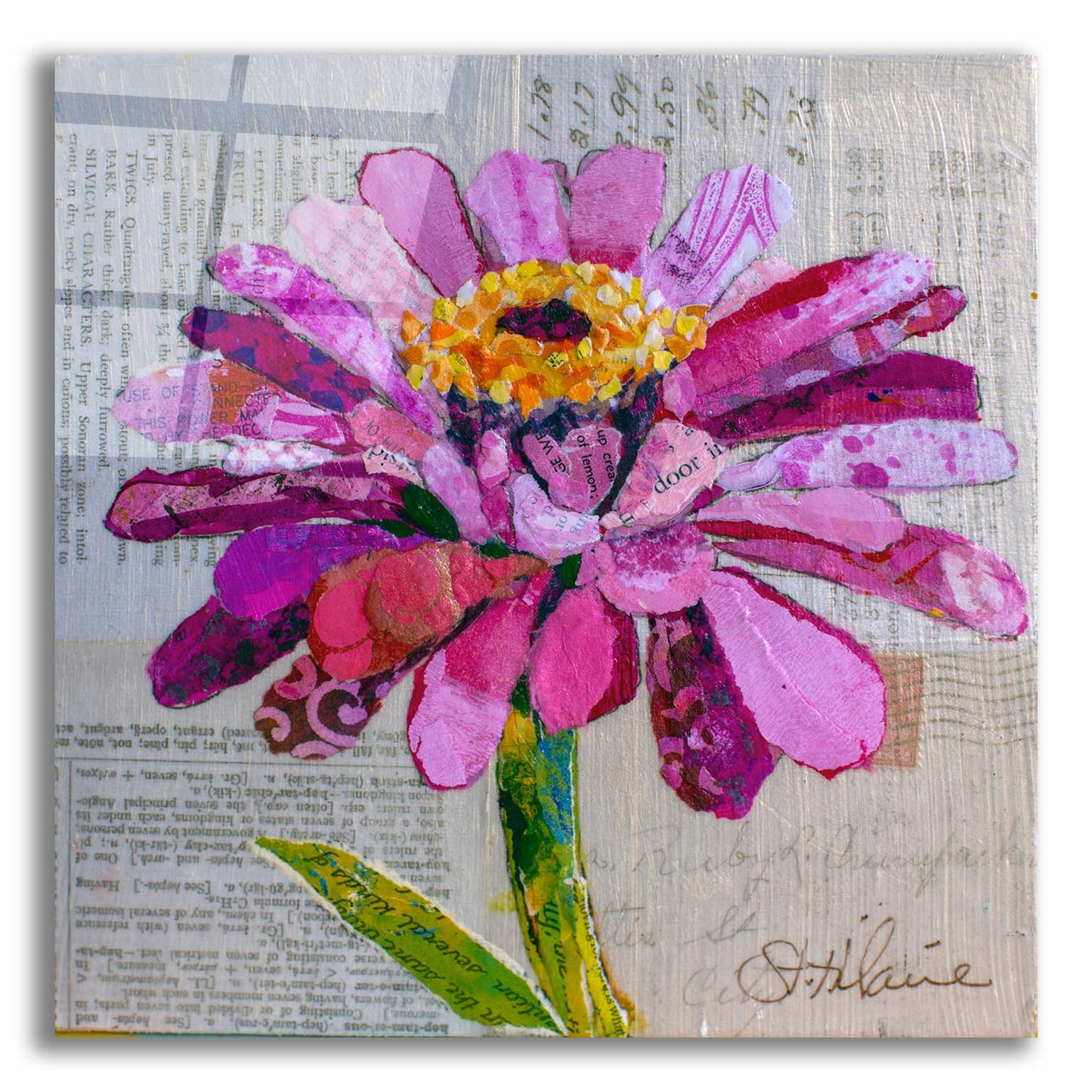 Epic Art 'Z is for Zinnia' by St. Hilaire Elizabeth, Acrylic Glass Wall Art