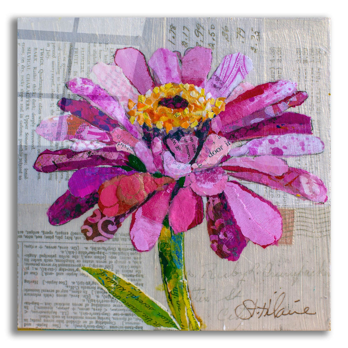 Epic Art 'Z is for Zinnia' by St. Hilaire Elizabeth, Acrylic Glass Wall Art,36x36
