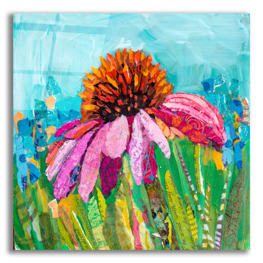 Epic Art 'Coneflower' by St. Hilaire Elizabeth, Acrylic Glass Wall Art