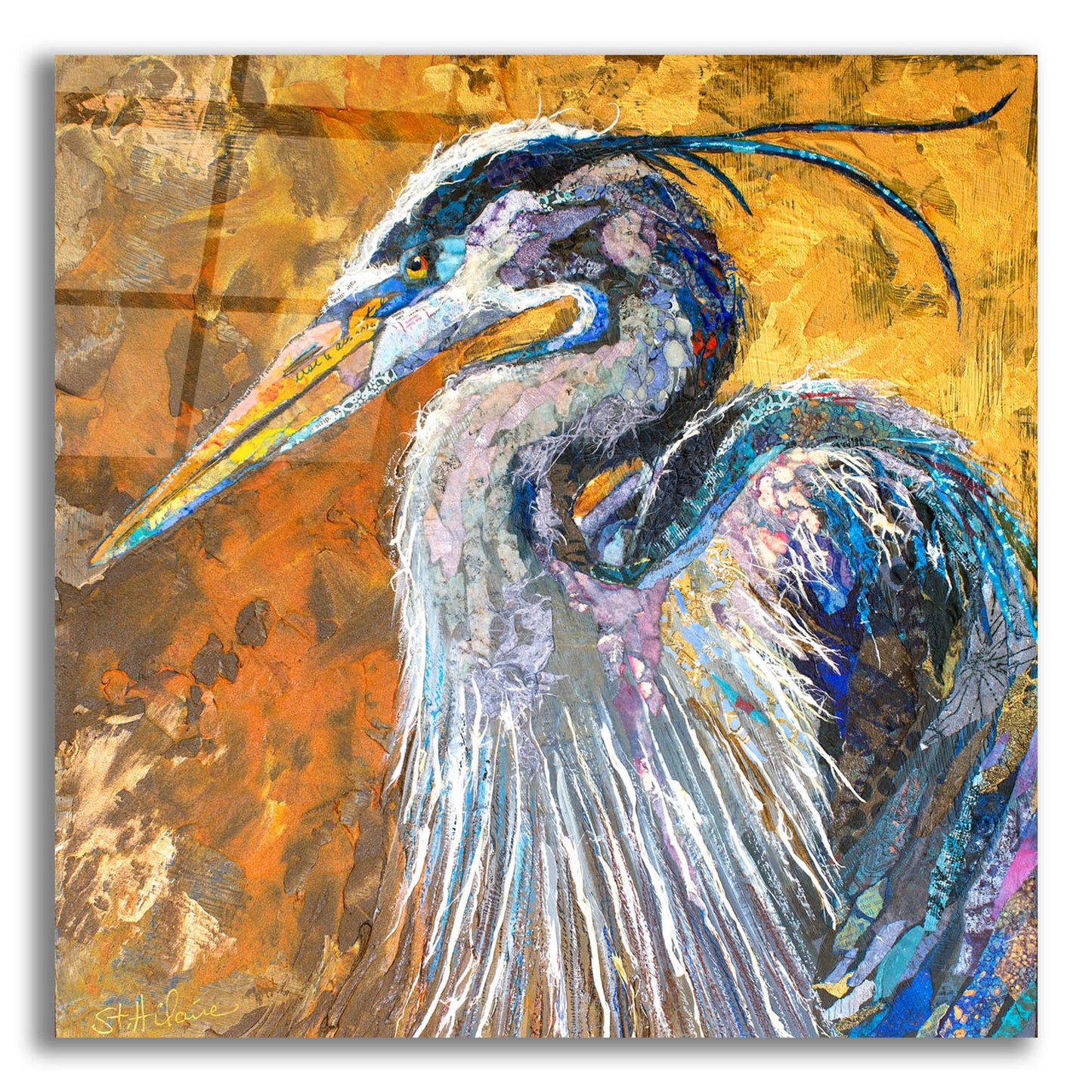 Epic Art 'Great Blue Heron' by St. Hilaire Elizabeth, Acrylic Glass Wall Art,24x24