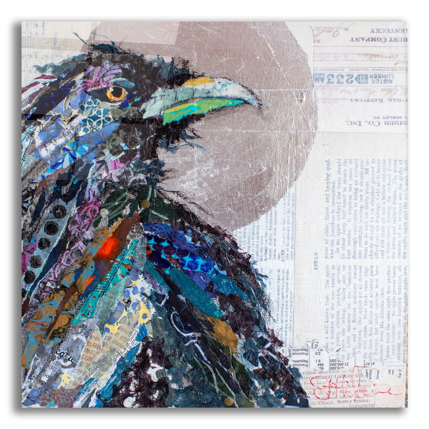 Epic Art 'Raven 3' by St. Hilaire Elizabeth, Acrylic Glass Wall Art,36x36