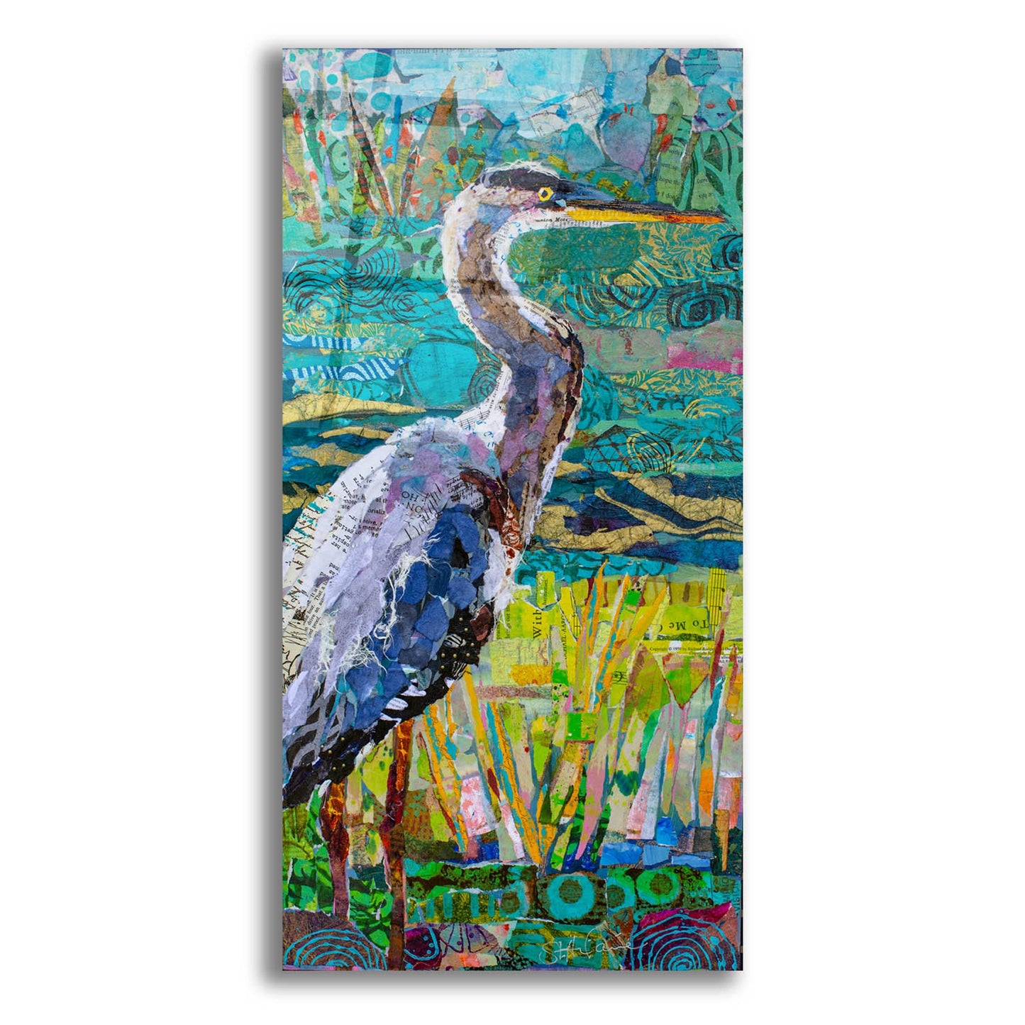 Epic Art 'Great Blue Heron 2' by St. Hilaire Elizabeth, Acrylic Glass Wall Art