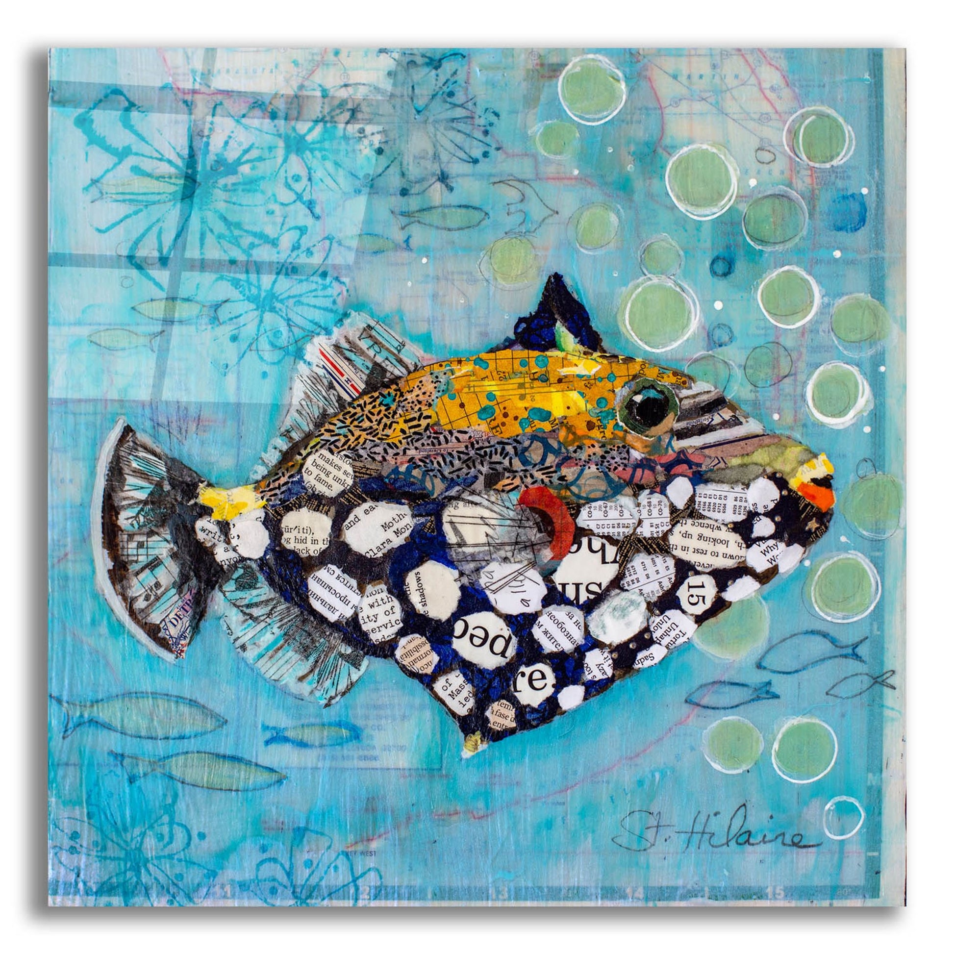 Epic Art 'Clown Triggerfish' by St. Hilaire Elizabeth, Acrylic Glass Wall Art,12x12