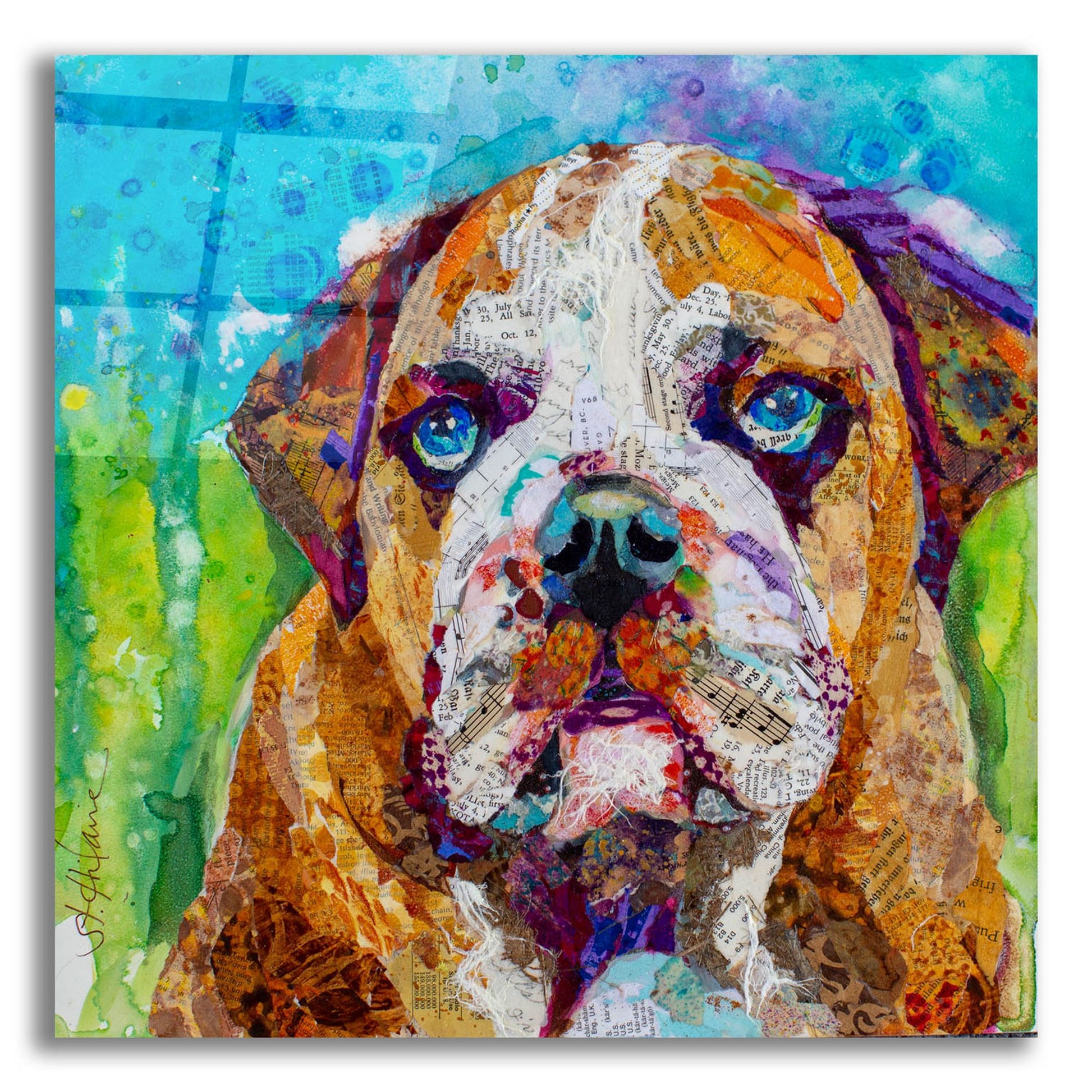 Epic Art 'Bull Dog' by St. Hilaire Elizabeth, Acrylic Glass Wall Art