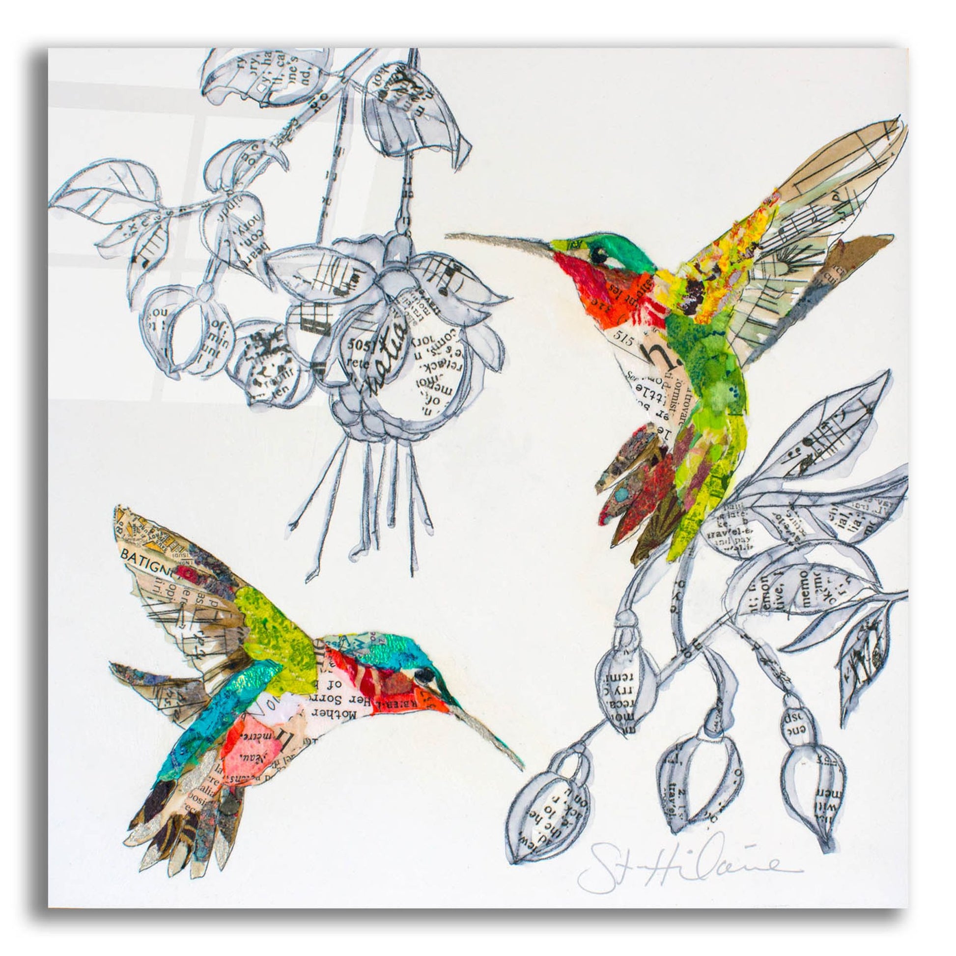 Epic Art 'Hummers and Blooms 2' by St. Hilaire Elizabeth, Acrylic Glass Wall Art