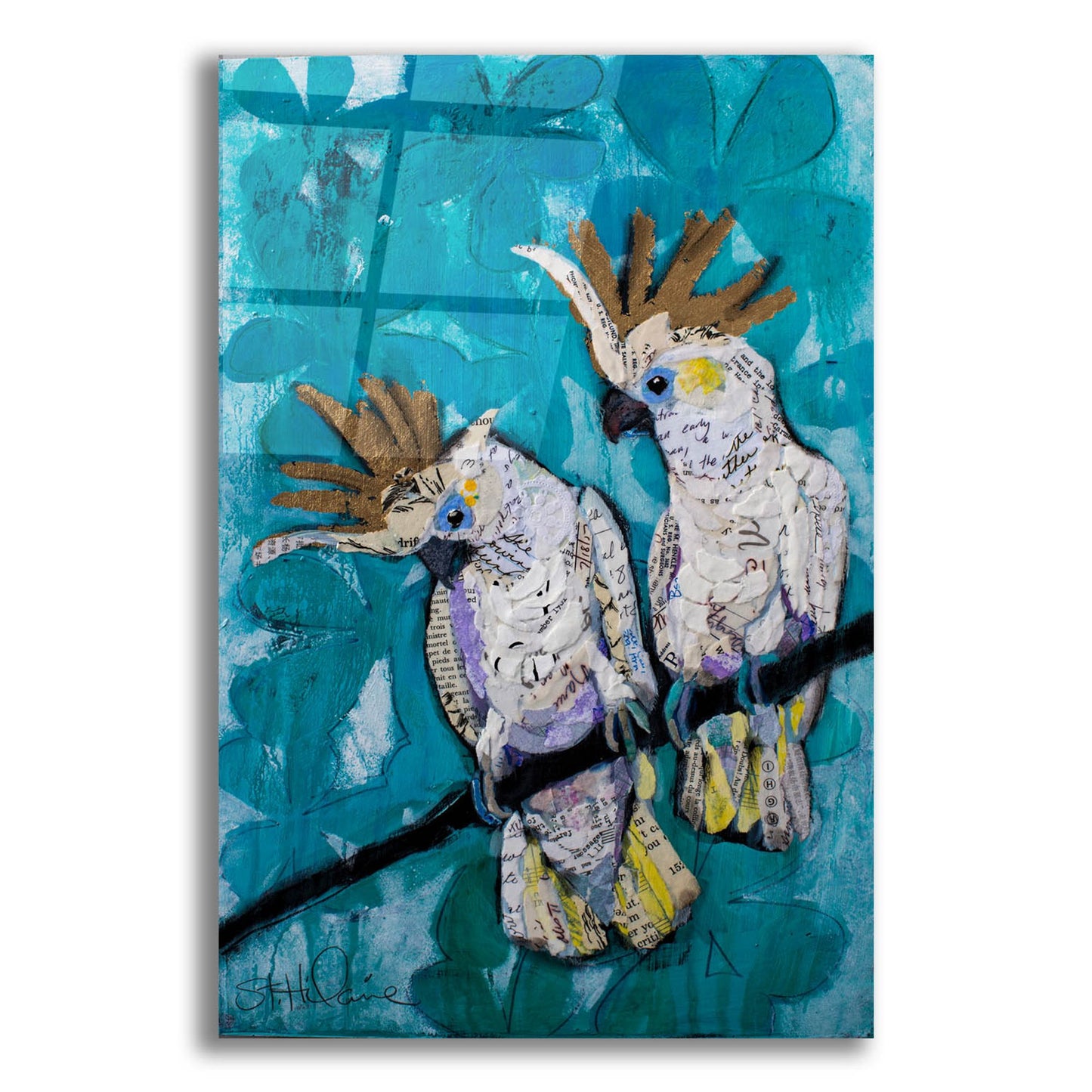 Epic Art 'Two Cockatoos' by St. Hilaire Elizabeth, Acrylic Glass Wall Art,12x16