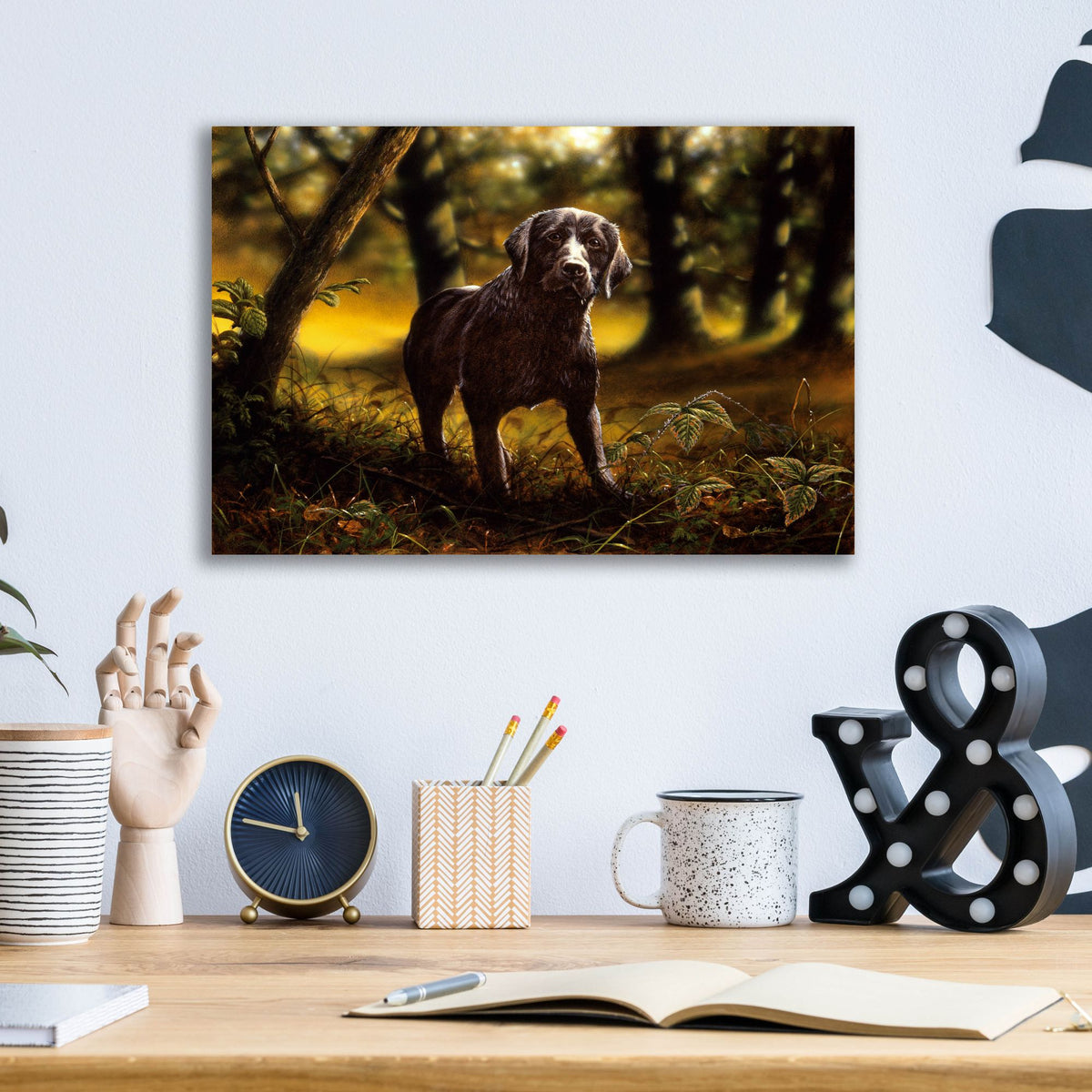 Epic Art 'Dream Dog' by John Silver, Acrylic Glass Wall Art,16x12
