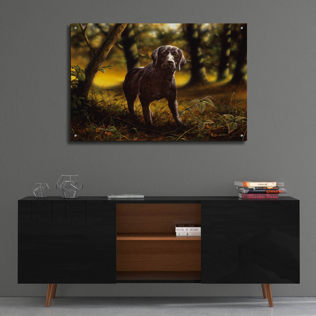 Epic Art 'Dream Dog' by John Silver, Acrylic Glass Wall Art,36x24