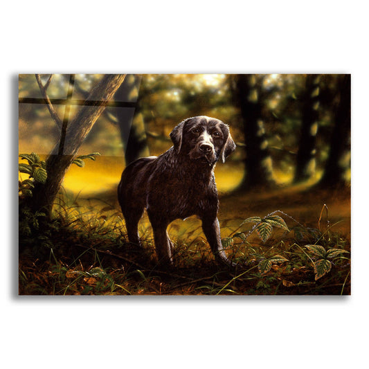 Epic Art 'Dream Dog' by John Silver, Acrylic Glass Wall Art