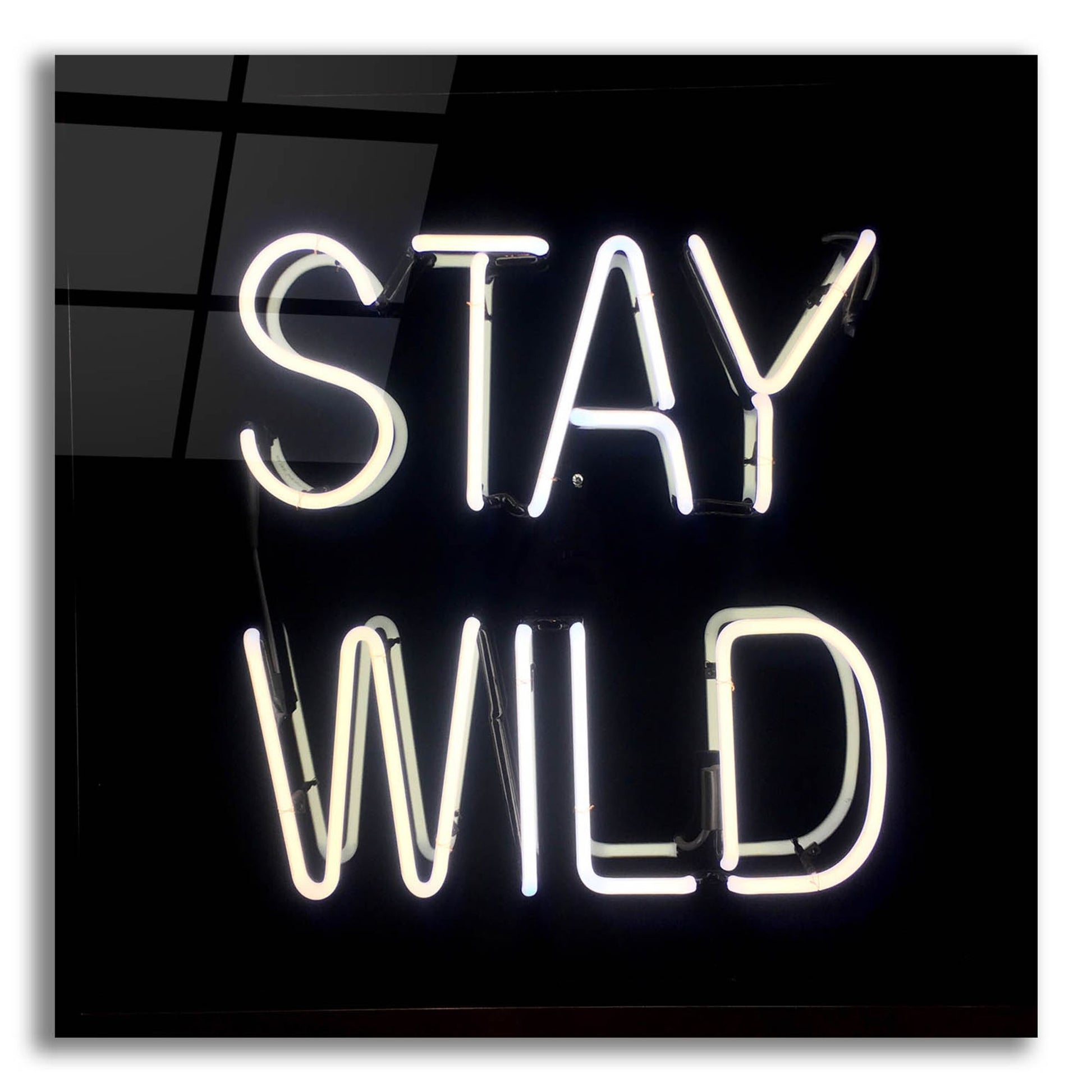 Epic Art 'Stay Wild In Neon White' by Epic Portfolio, Acrylic Glass Wall Art,12x12