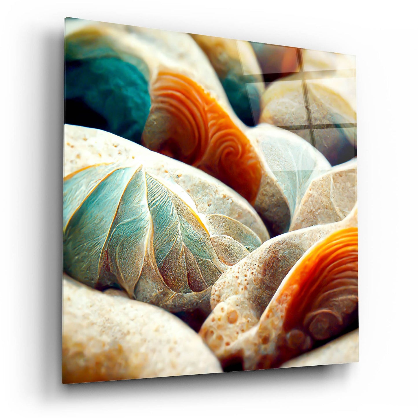 Epic Art 'Space Sea Shells' by Epic Portfolio, Acrylic Glass Wall Art,12x12