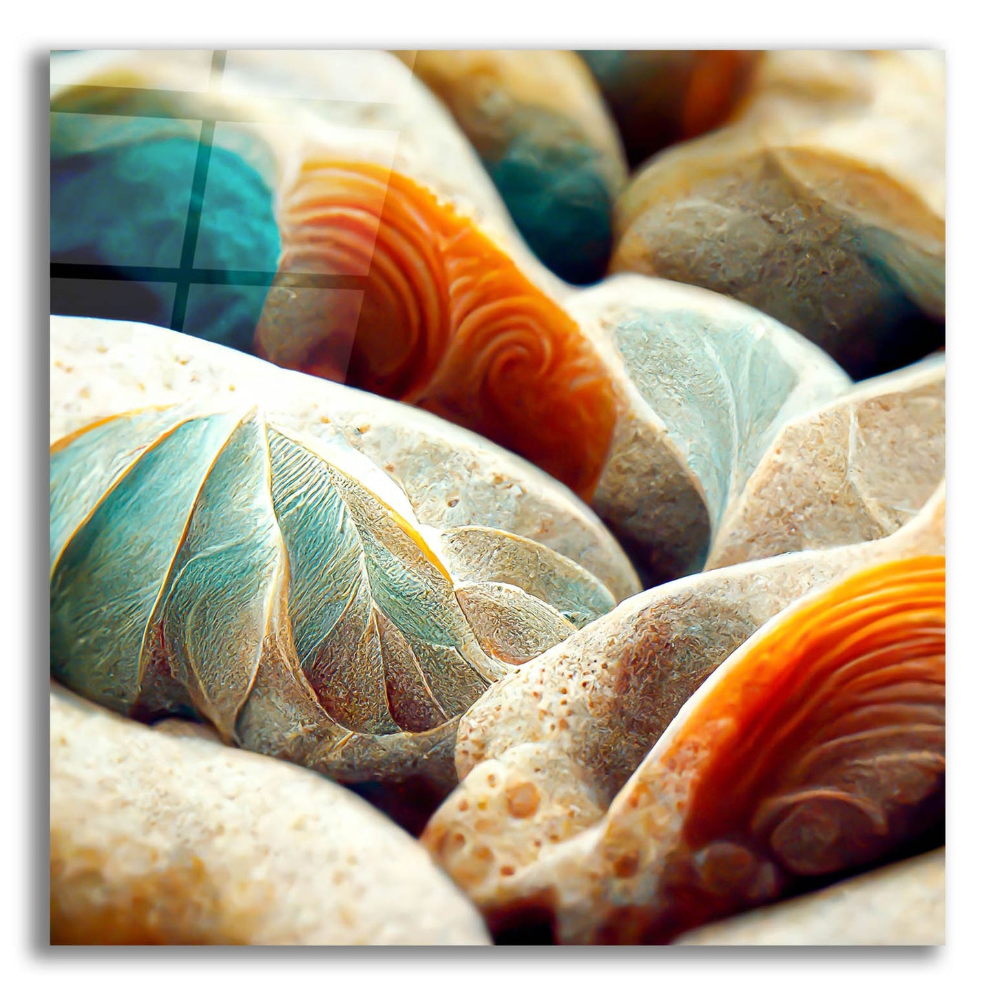 Epic Art 'Space Sea Shells' by Epic Portfolio, Acrylic Glass Wall Art,12x12