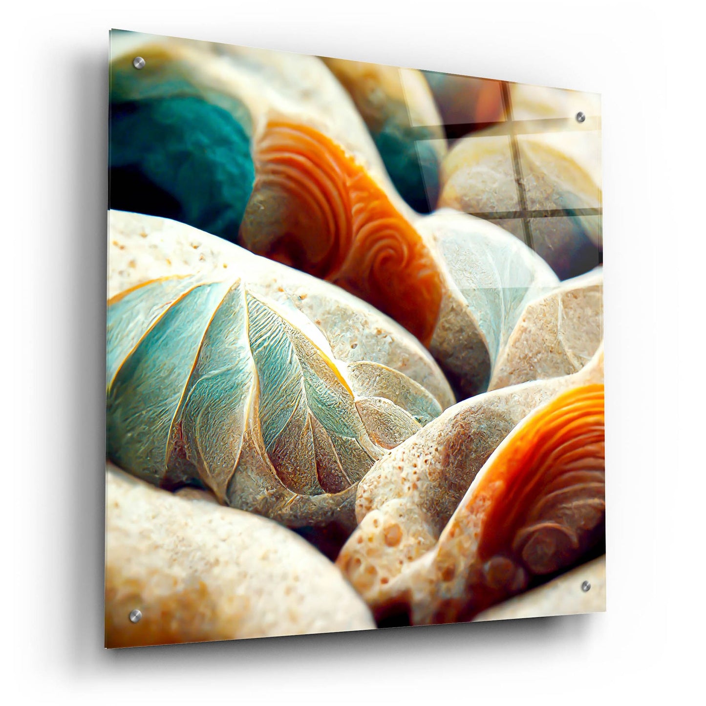 Epic Art 'Space Sea Shells' by Epic Portfolio, Acrylic Glass Wall Art,24x24