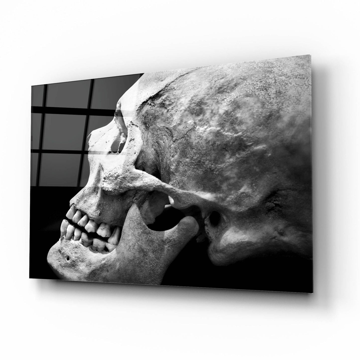 Epic Art 'The Beauty of Bones 2' by Ben Heine, Acrylic Glass Wall Art,16x12