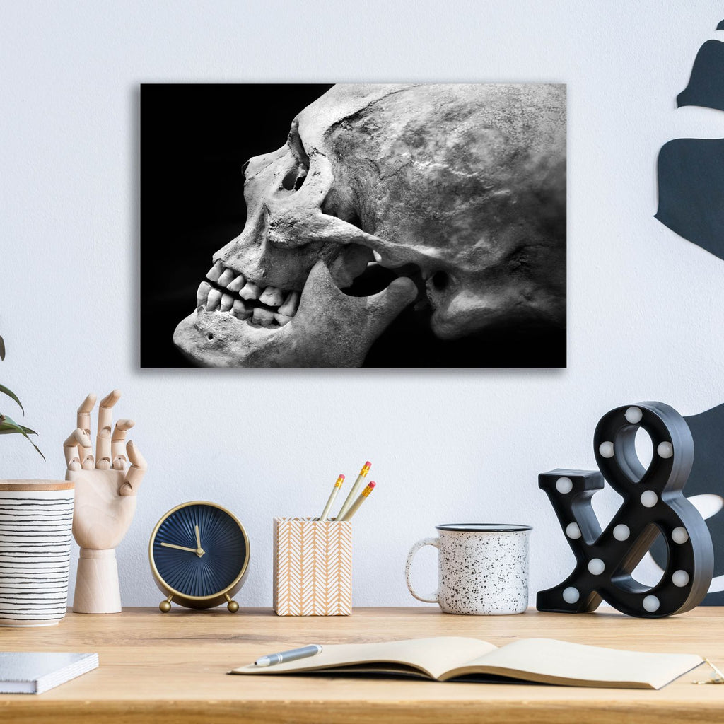 The Beauty of Bones 2 by Ben Heine - 16x12 acrylic wall art in a room