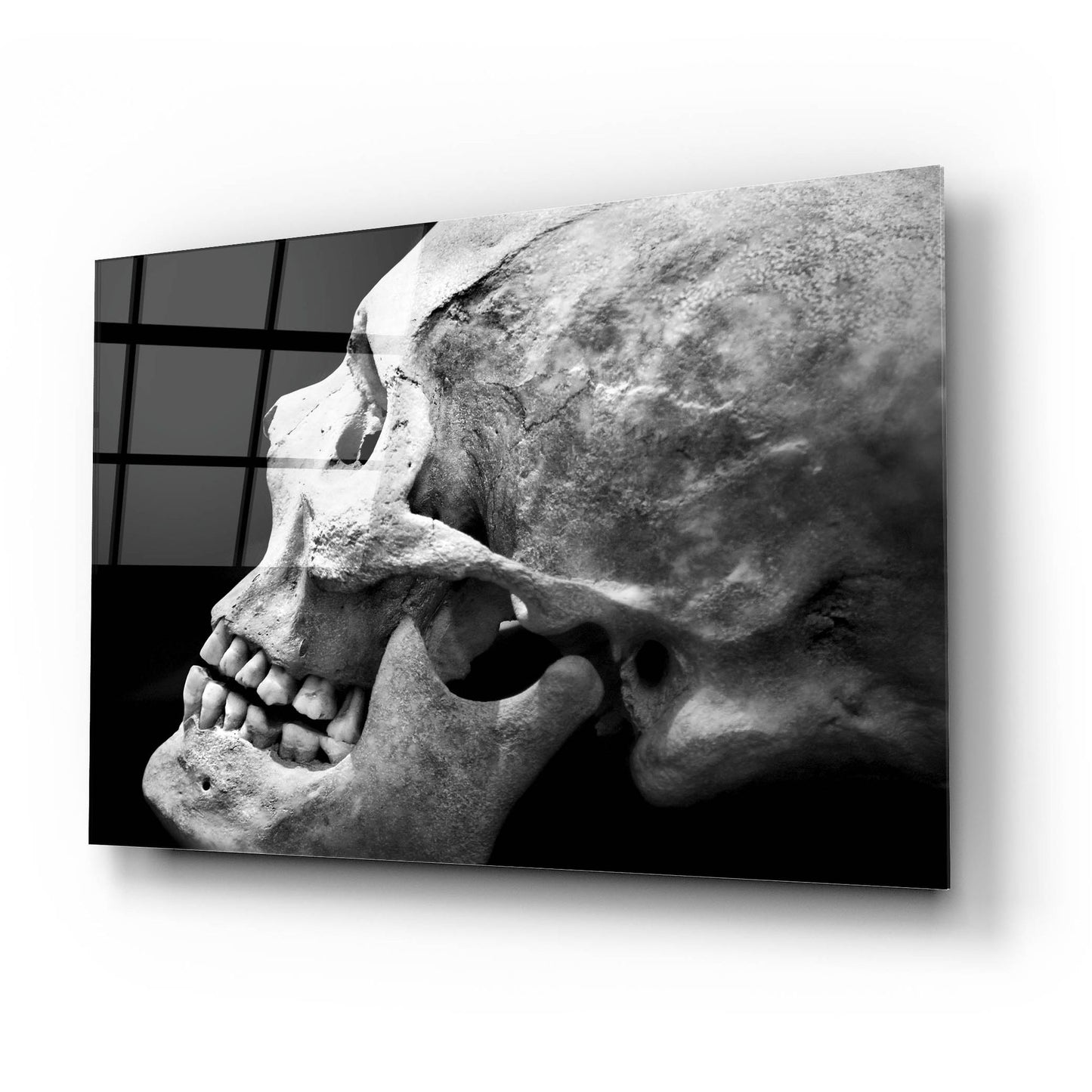 Epic Art 'The Beauty of Bones 2' by Ben Heine, Acrylic Glass Wall Art,24x16