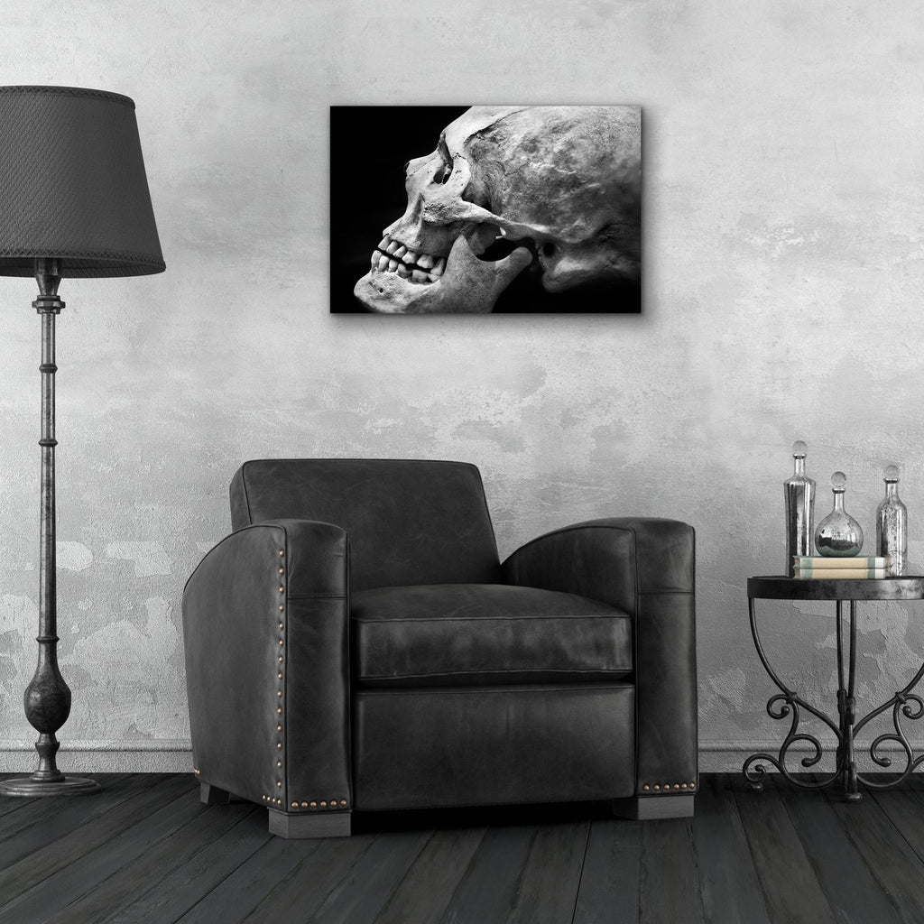 The Beauty of Bones 2 by Ben Heine - 24x16 acrylic wall art in a room